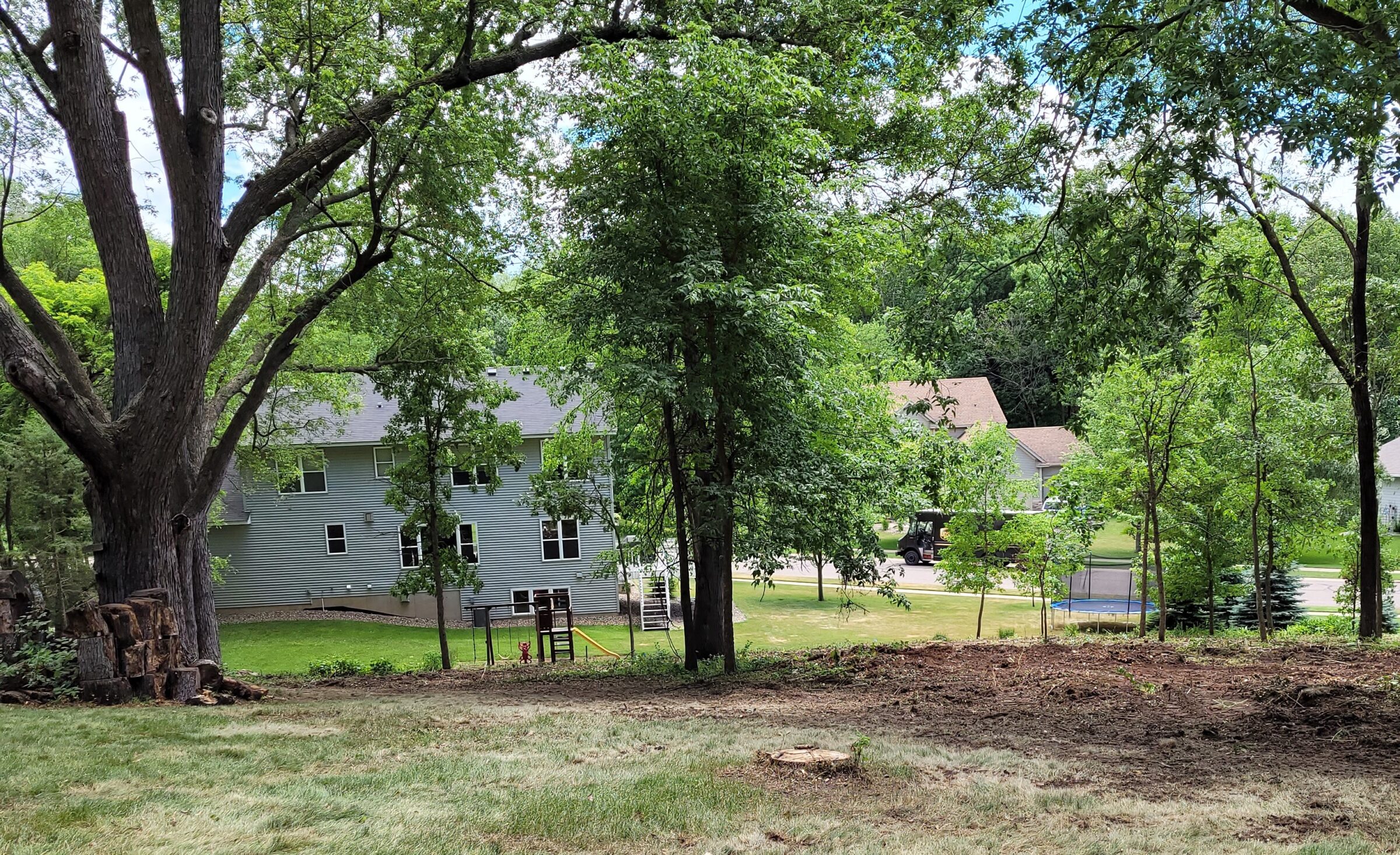 Removing buckthorn as part of important landscaping ideas.