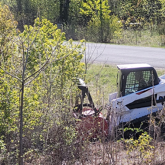 A person operates a small white skid-steer loader, clearing foliage beside a road. Lush green trees and bushes surround the area.