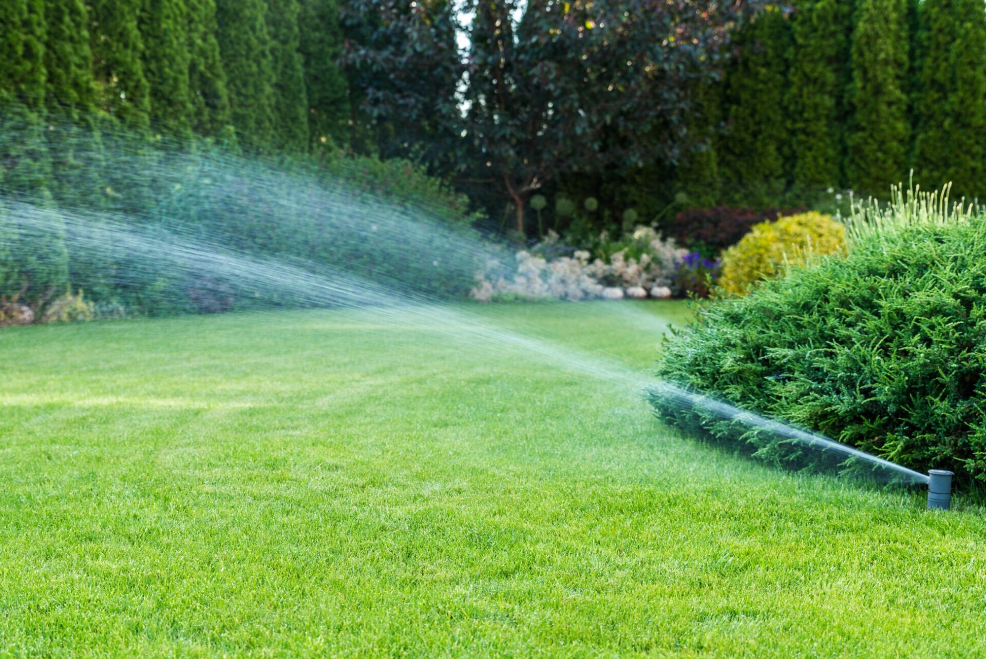 A sprinkler waters a lush green lawn surrounded by dense trees and bushes, creating a serene garden atmosphere in bright daylight.