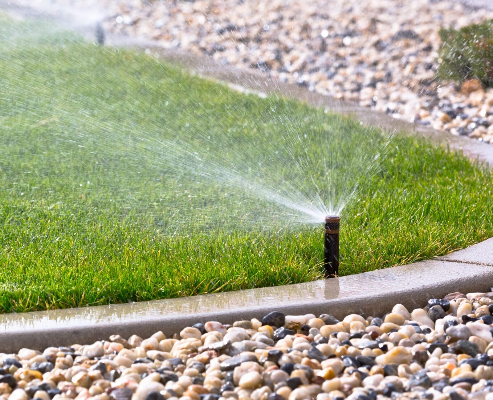 Sprinklers watering a neatly edged green lawn bordered by stones, under clear sunlight, showcasing efficient garden irrigation on a well-maintained landscape.
