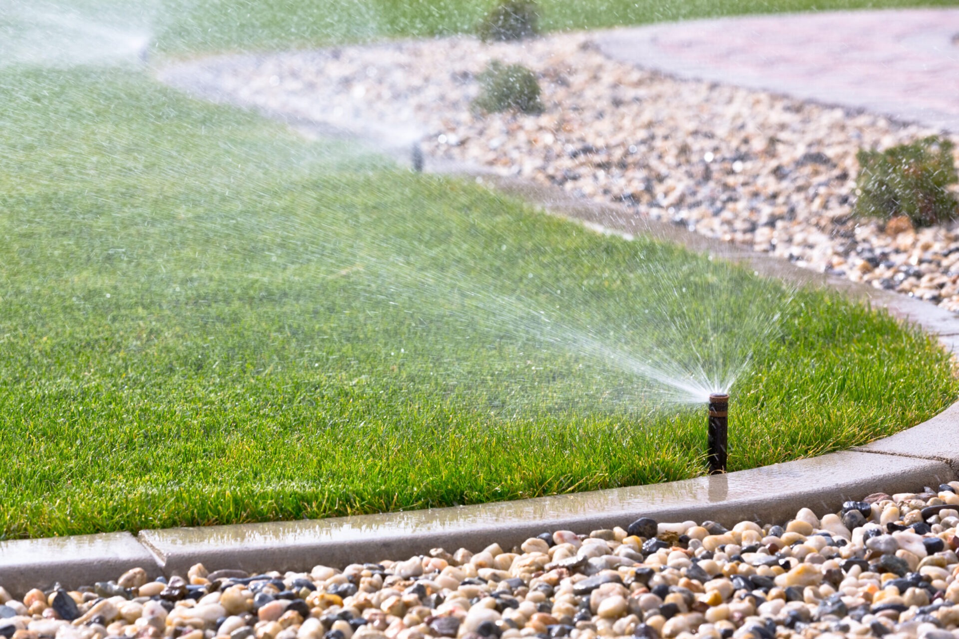 Sprinkler watering green lawn, bordered by decorative stones, in a sunny garden setting. The scene captures a vibrant, well-maintained landscape.