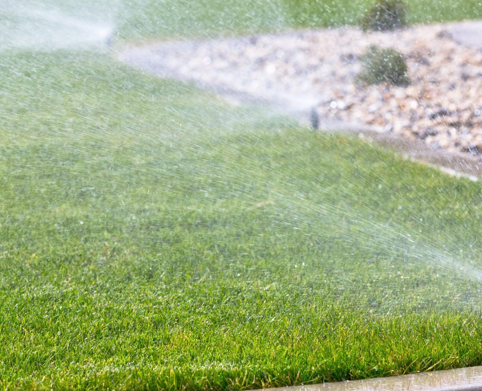 Sprinkler watering green lawn, bordered by decorative stones, in a sunny garden setting. The scene captures a vibrant, well-maintained landscape.