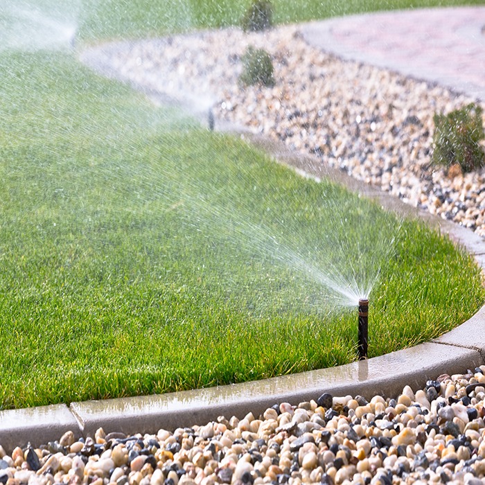 A sprinkler waters a well-maintained lawn bordered by decorative stones and a paved path under bright, sunny conditions.