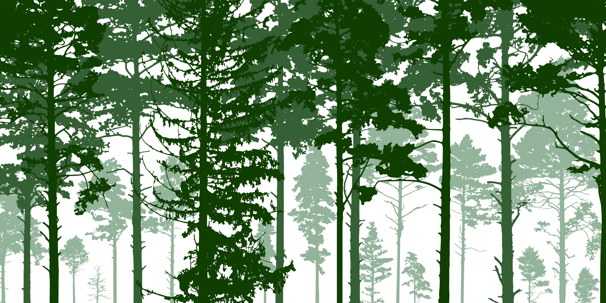 Silhouetted figures walk through a dense forest of tall, dark trees, creating a serene, peaceful atmosphere, with layered foliage in different shades.