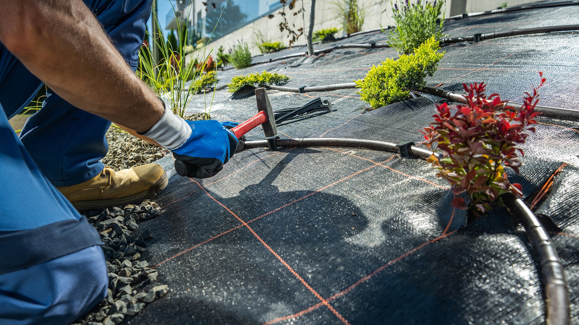 A person secures irrigation tubing with a tool on a landscaped fabric-covered slope with small plants and gravel.