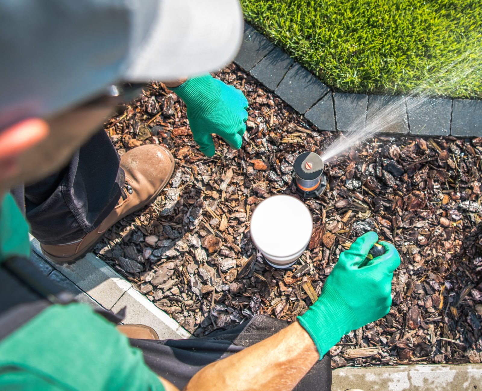 A person wearing gloves adjusts a garden sprinkler near a small shrub, with mulch and bright green grass in the background.