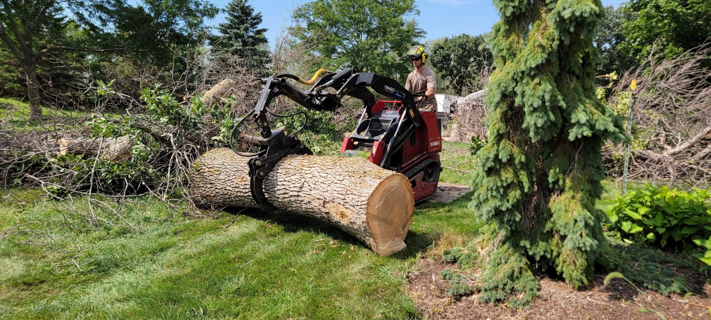 A person operates logging equipment, handling a large tree log surrounded by green foliage and sunny skies in a wooded area.