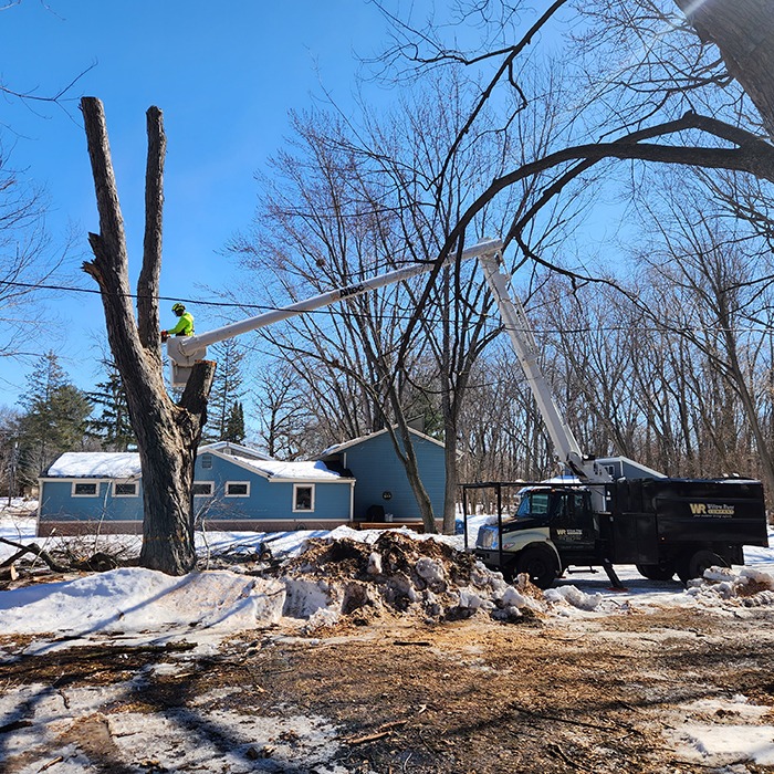 A person in a high-visibility jacket is elevated by a truck lift, trimming tree branches near a blue house on a snowy day.