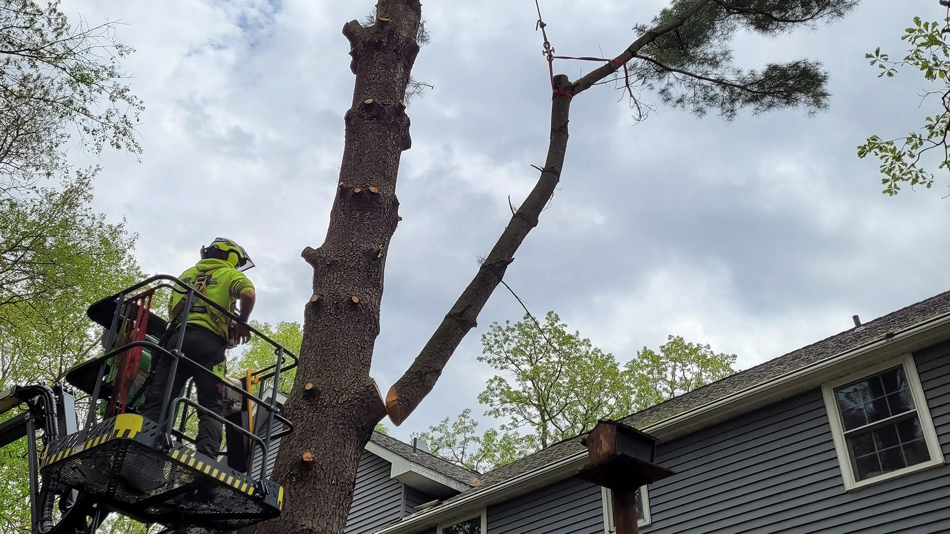 A person in a lift cuts a large tree branch near a house, surrounded by greenery and a cloudy sky.