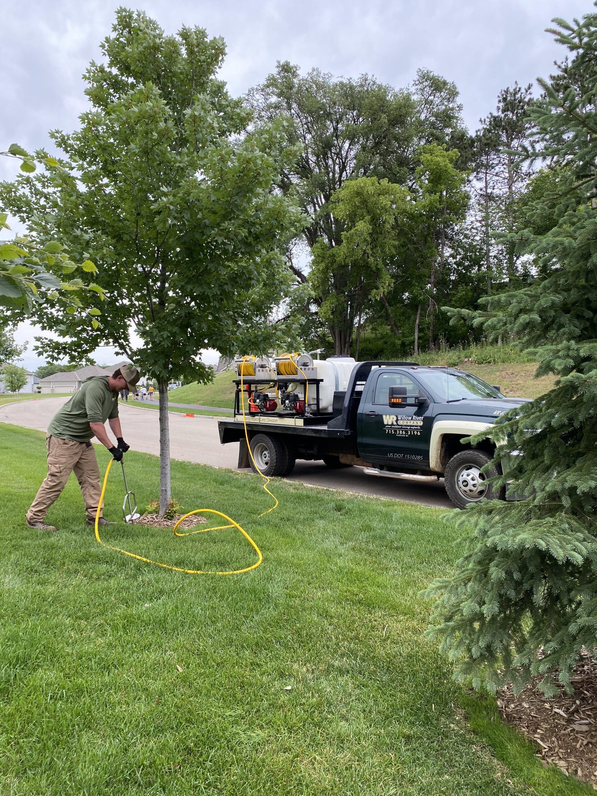 A person tends to a tree with equipment from a truck on a grassy roadside, surrounded by lush greenery and overcast sky.