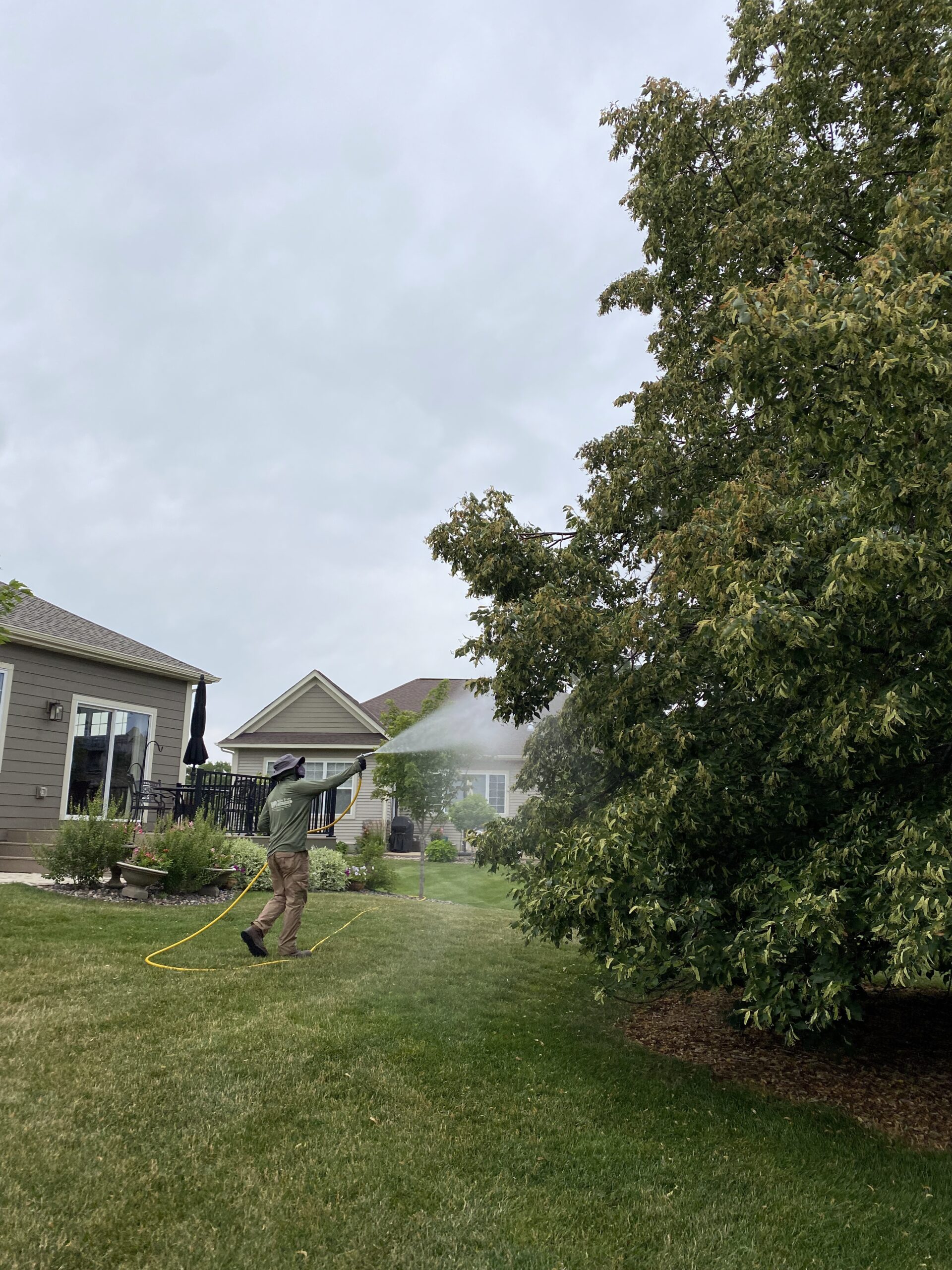 A person waters a garden with a hose near suburban houses. The scene includes lush greenery and cloudy skies.