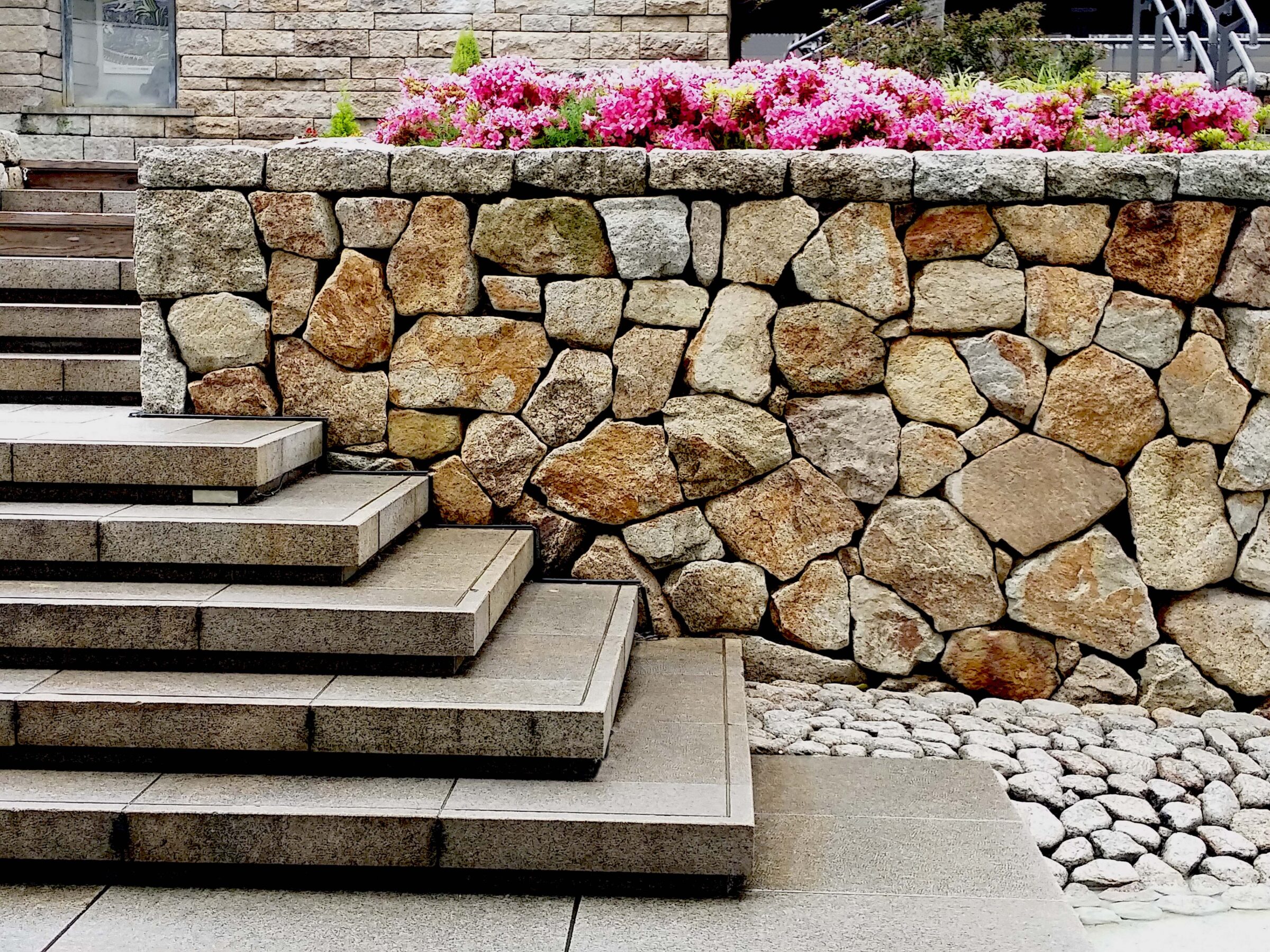 Stone steps lead to a garden lined with pink flowers, beside a rustic stone wall. There's a textured ground and modern pathway.