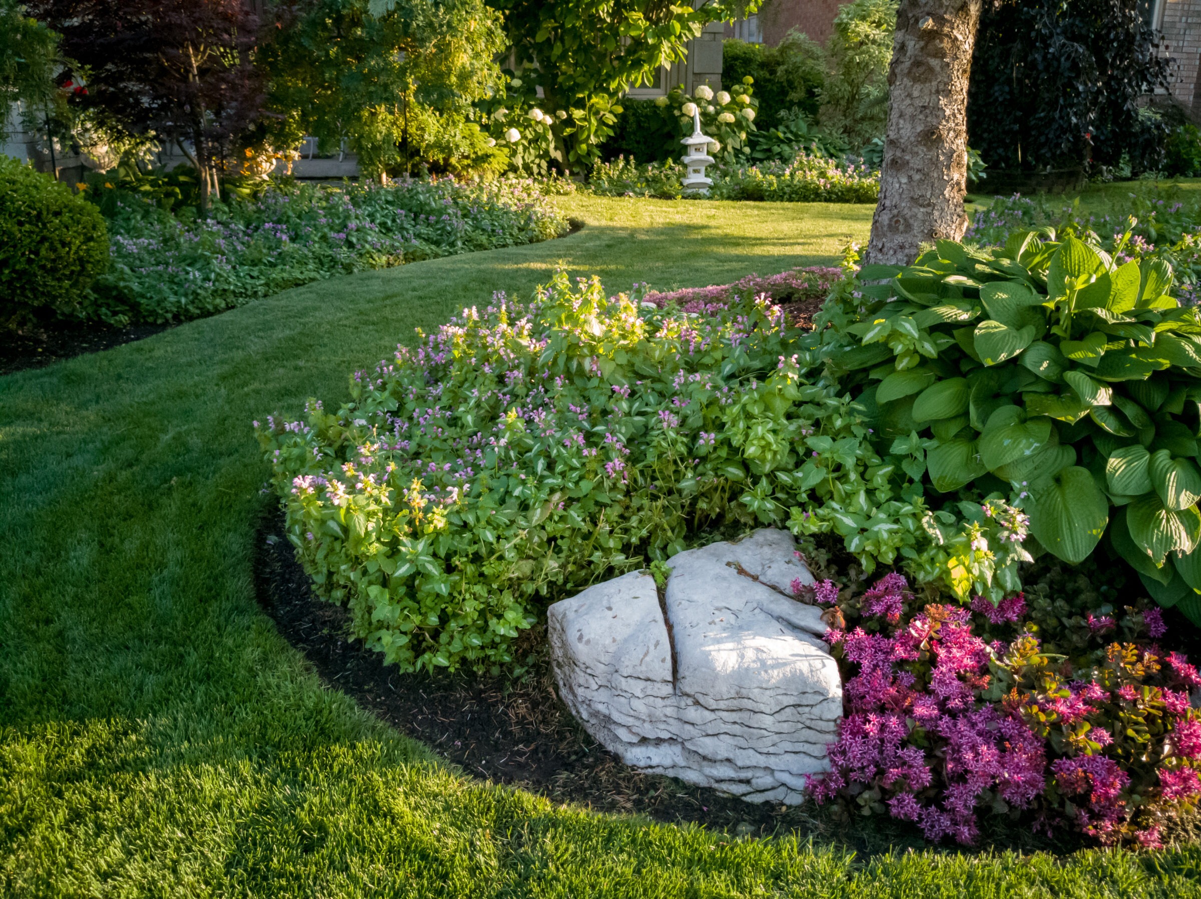 A vibrant garden features lush greenery, colorful flowers, a large rock, and a serene pathway, with no recognizable landmarks or historical buildings.