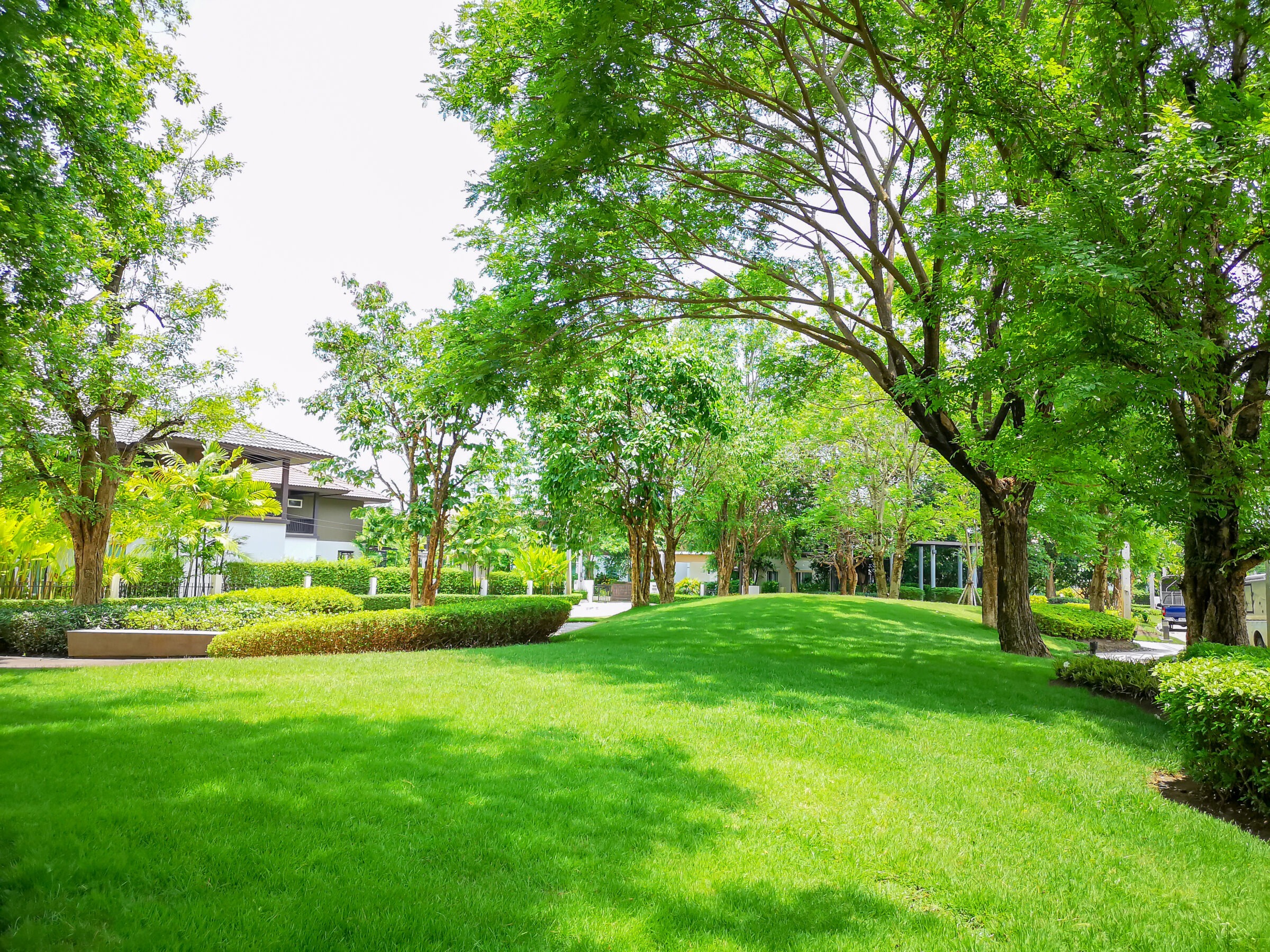 A lush green park with vibrant trees and shrubs, featuring a walkway. Nearby houses are partially visible under the bright, clear sky.