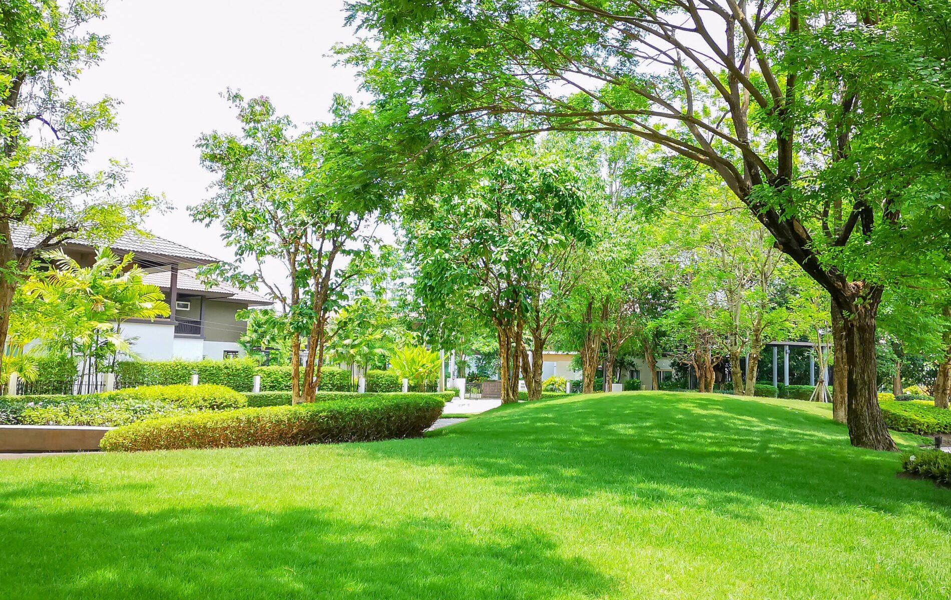 Lush green park with manicured lawns, several large trees, and a residential building in the background under a bright sky.