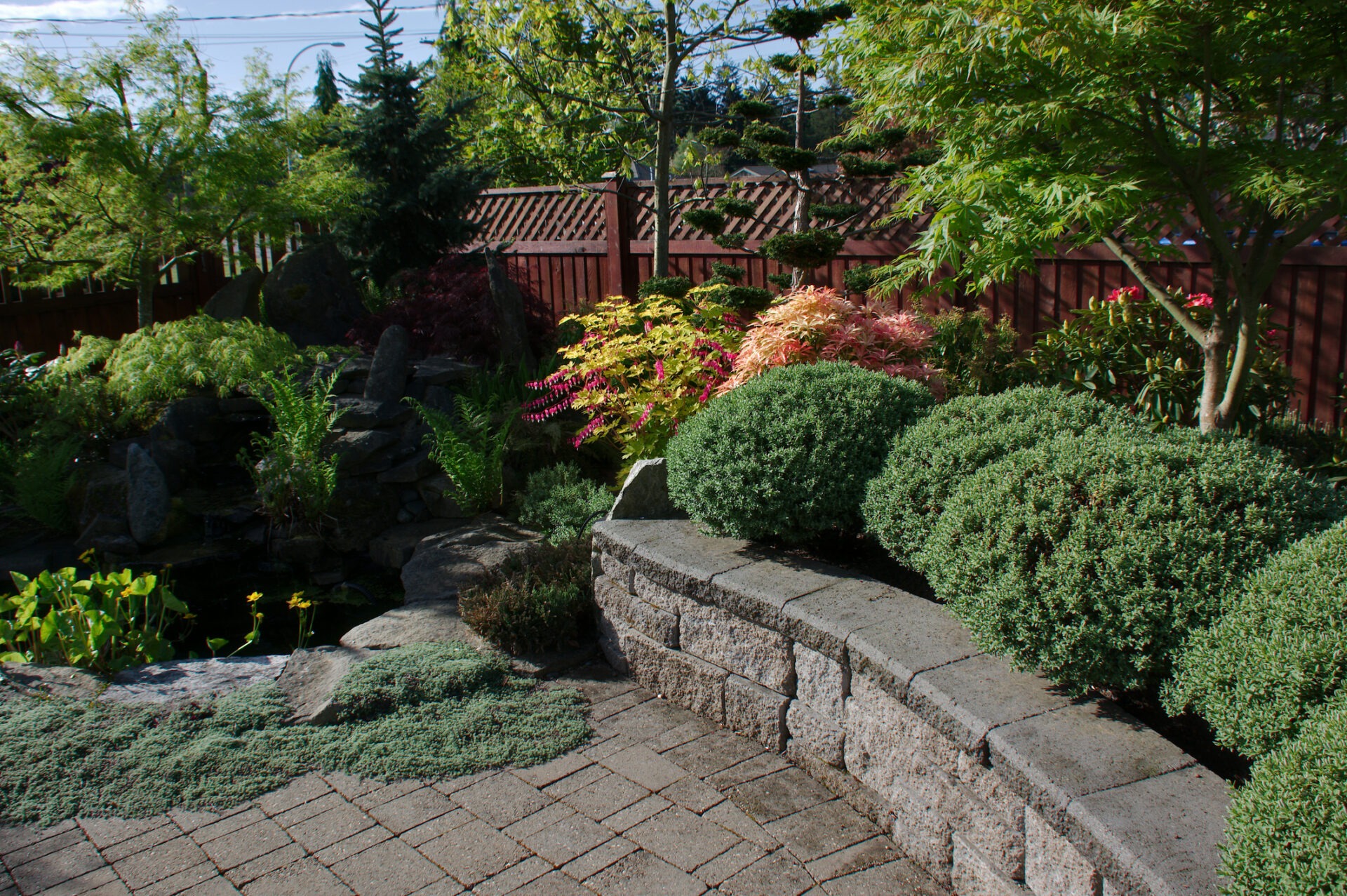 A serene garden with lush greenery, vibrant plants, stone pathways, and neatly trimmed shrubs, enclosed by a wooden fence under a clear sky.