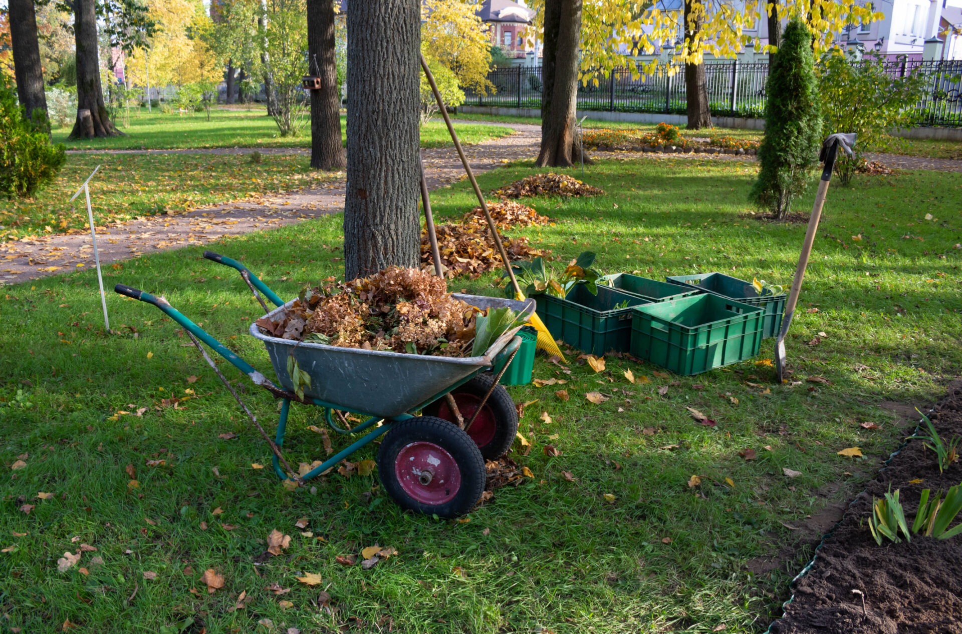 A park scene with wheelbarrow, leaves, green crates, and gardening tools on grass, surrounded by trees and paths in autumn.