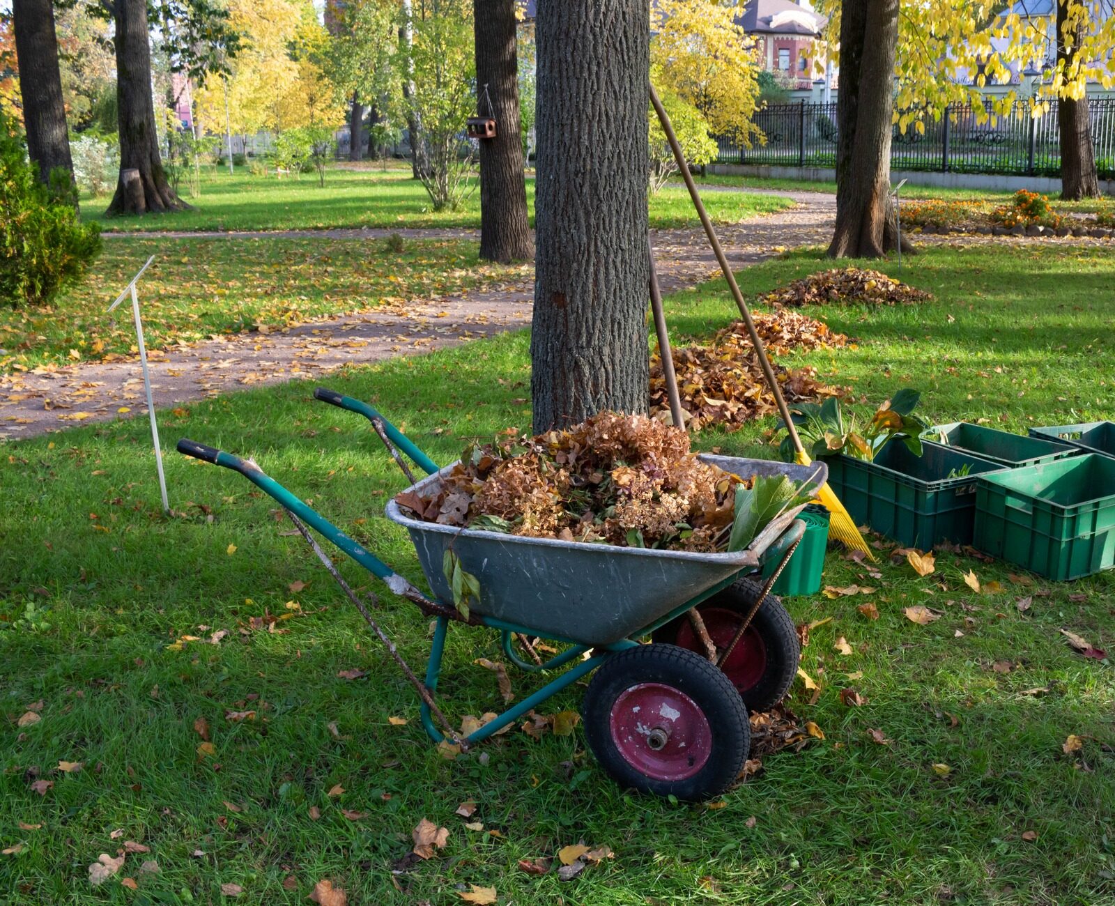 A park scene with wheelbarrow, leaves, green crates, and gardening tools on grass, surrounded by trees and paths in autumn.