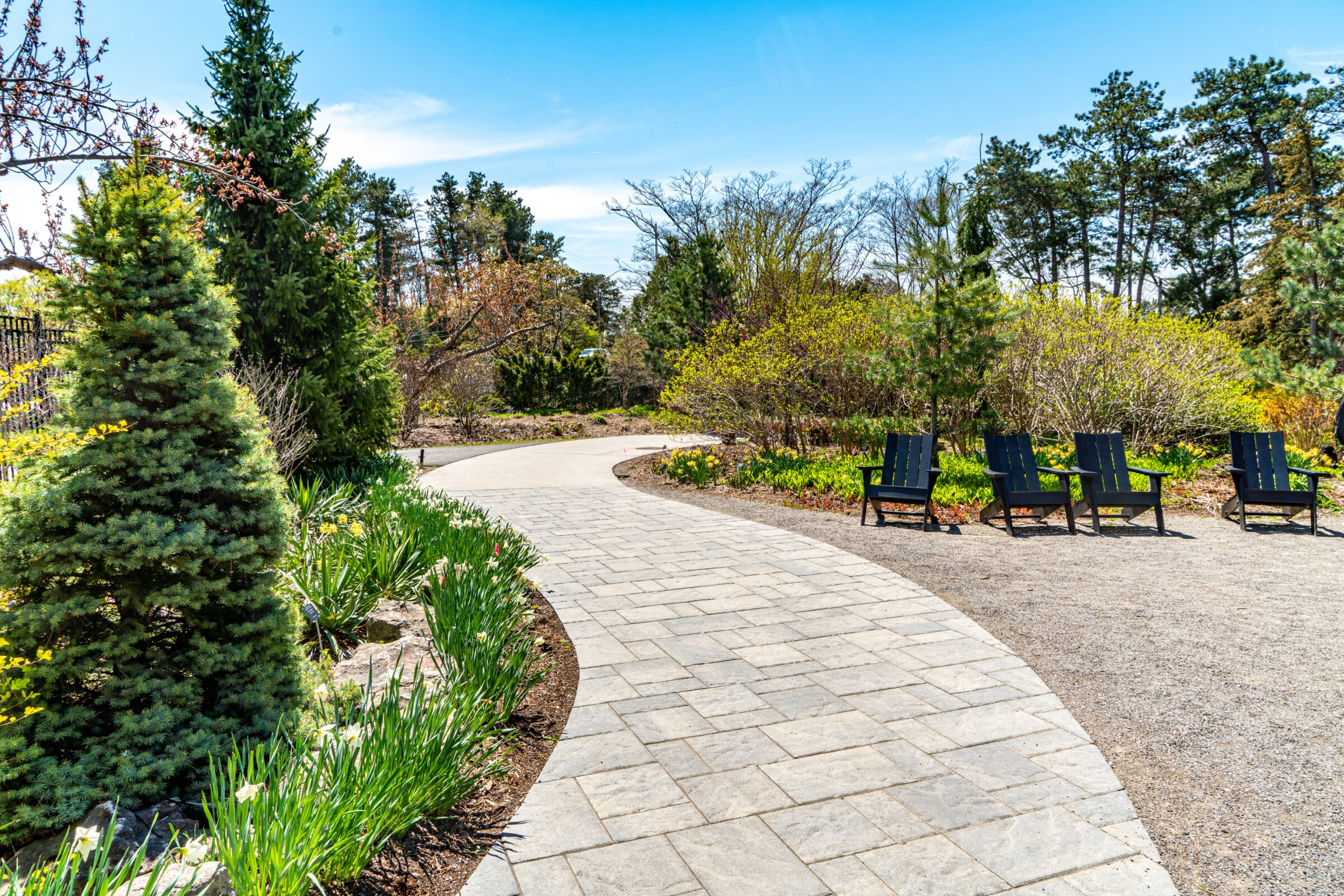 A winding garden path lined with lush greenery and trees. Four empty black chairs sit beside the pathway under a clear blue sky.