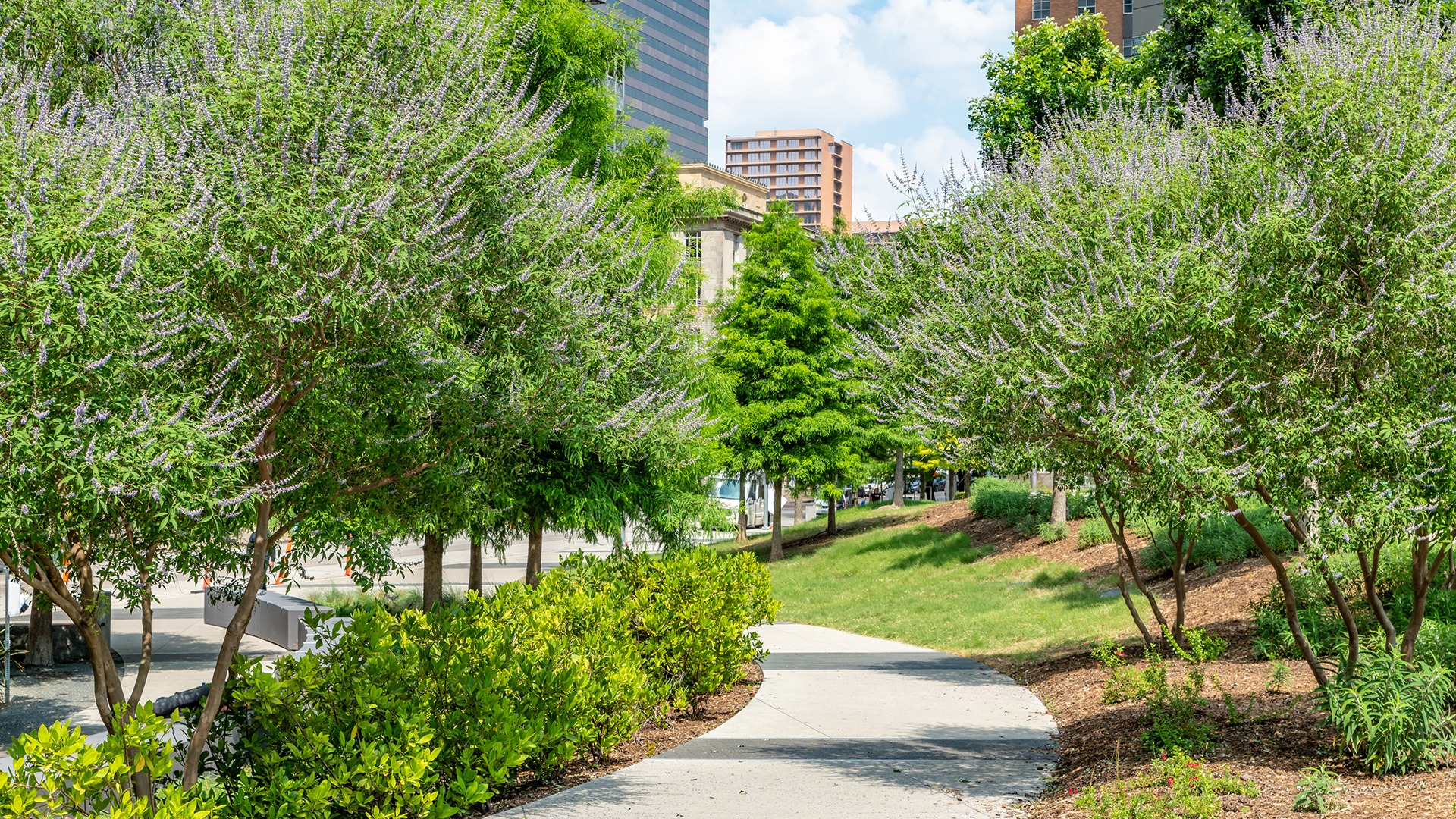 A lush city park with curved pathways, surrounded by trees and greenery, is set against high-rise buildings in the background.