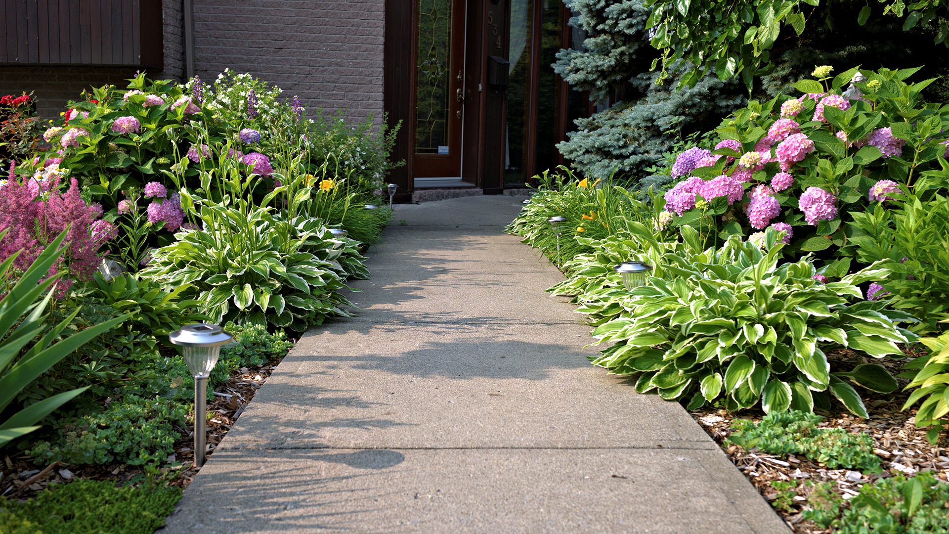 A garden walkway lined with lush greenery and blooming flowers leads to a wooden door. Solar lights are neatly placed along the path.