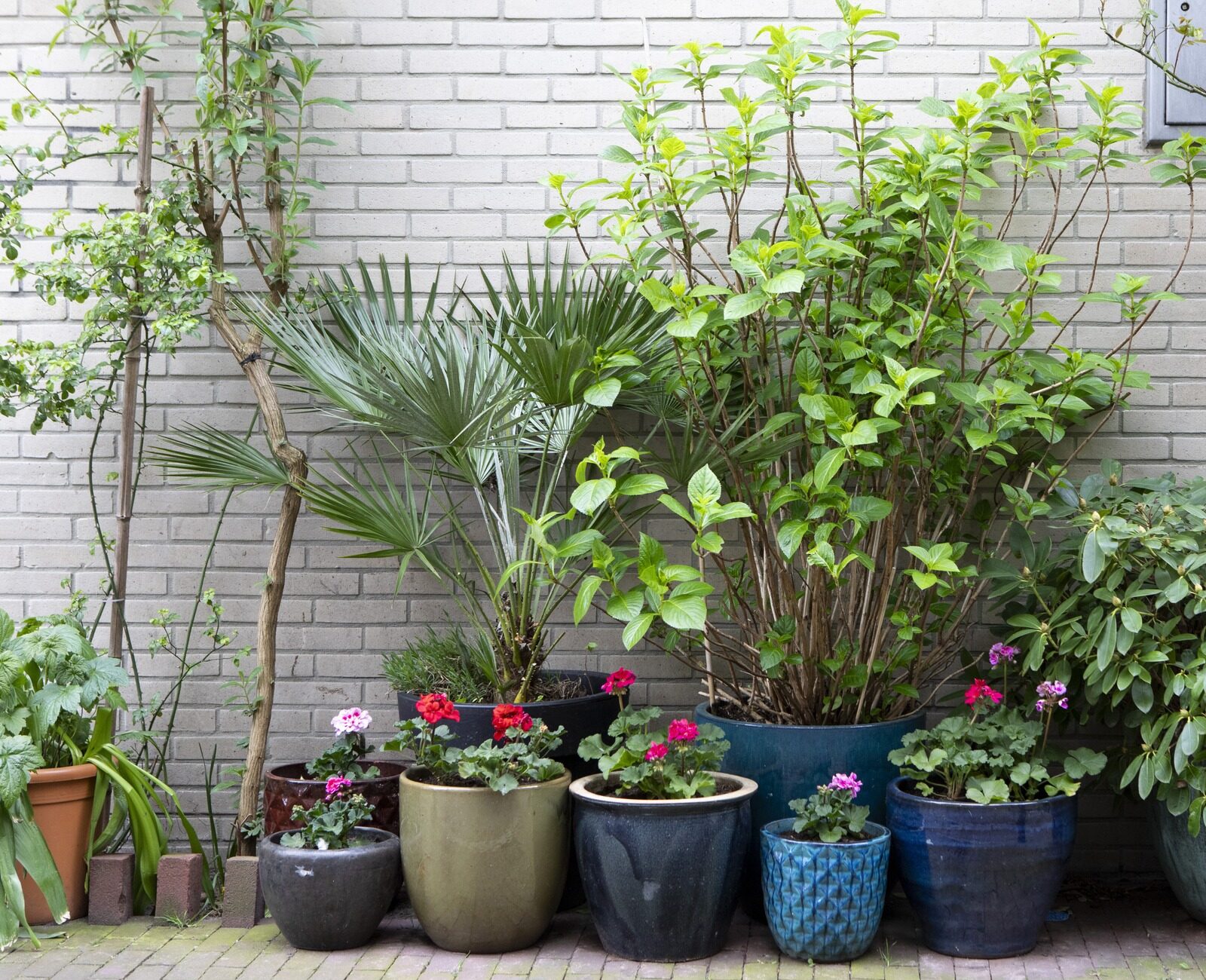 A variety of potted plants with colorful blooms arranged against a light brick wall, near a bollard marked with three crosses.