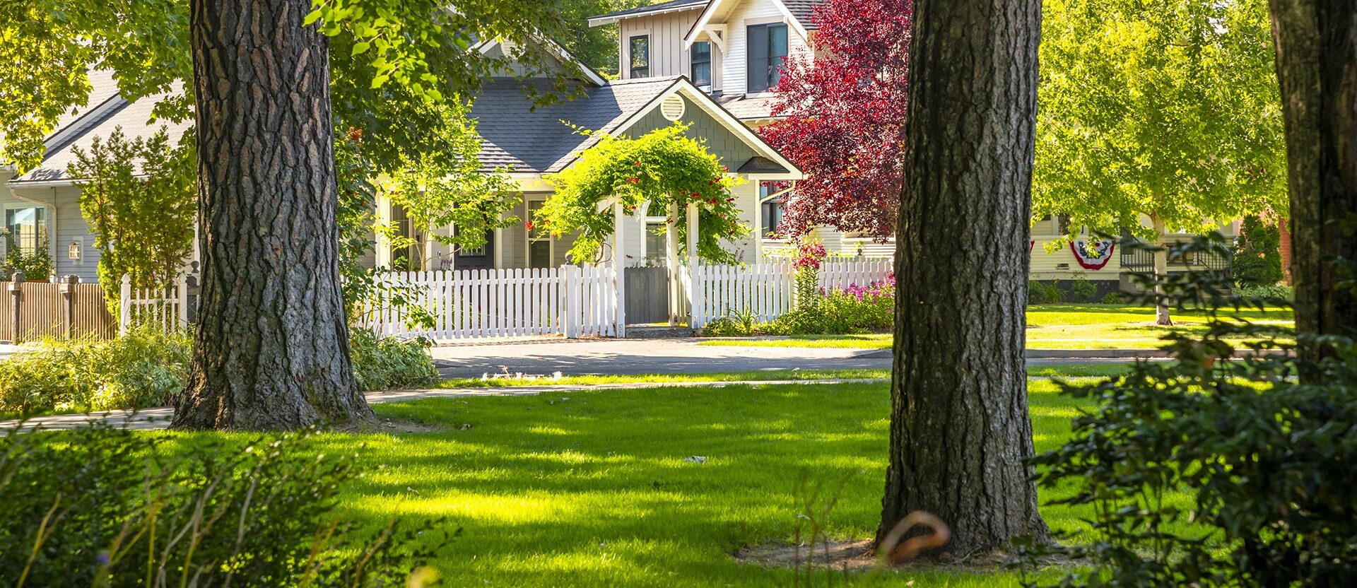 Charming residential neighborhood with white picket fences, surrounded by lush greenery and vibrant trees, lit by warm sunlight. Two houses visible amidst garden foliage.