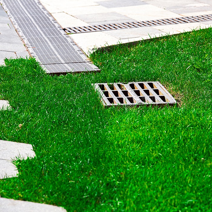 Green grass contrasts with the concrete path and metal drainage grates, creating a vibrant urban landscape element.