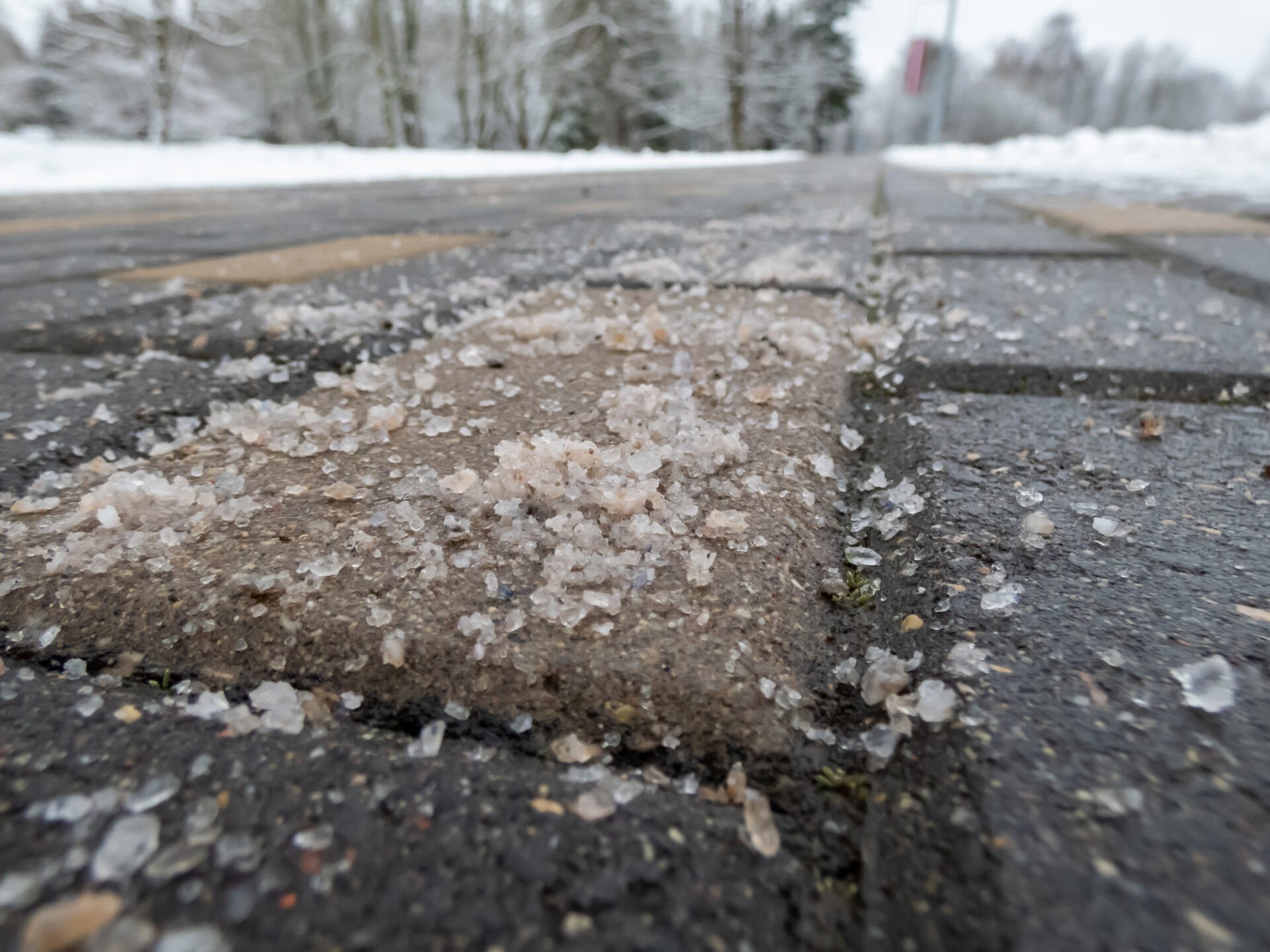 Close-up of salt granules on a snowy, brick-paved road. Snowy trees line the road in the blurred background, creating a chilly atmosphere.