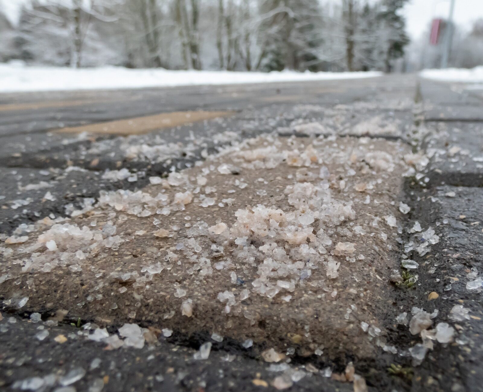 Close-up of salt granules on a snowy, brick-paved road. Snowy trees line the road in the blurred background, creating a chilly atmosphere.