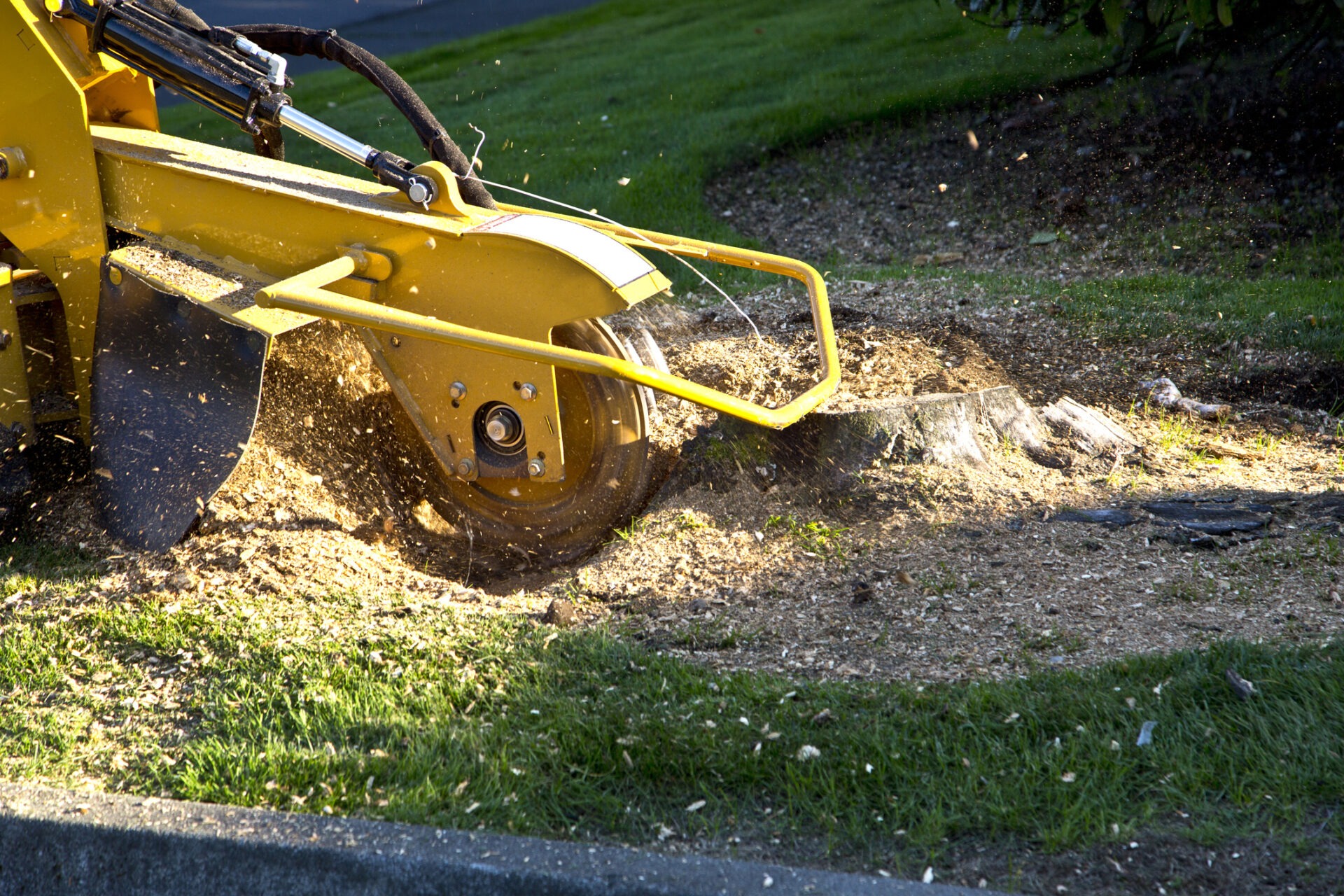 A yellow stump grinder in action, chipping away a tree stump on a grassy area, surrounded by wood chips and greenery.