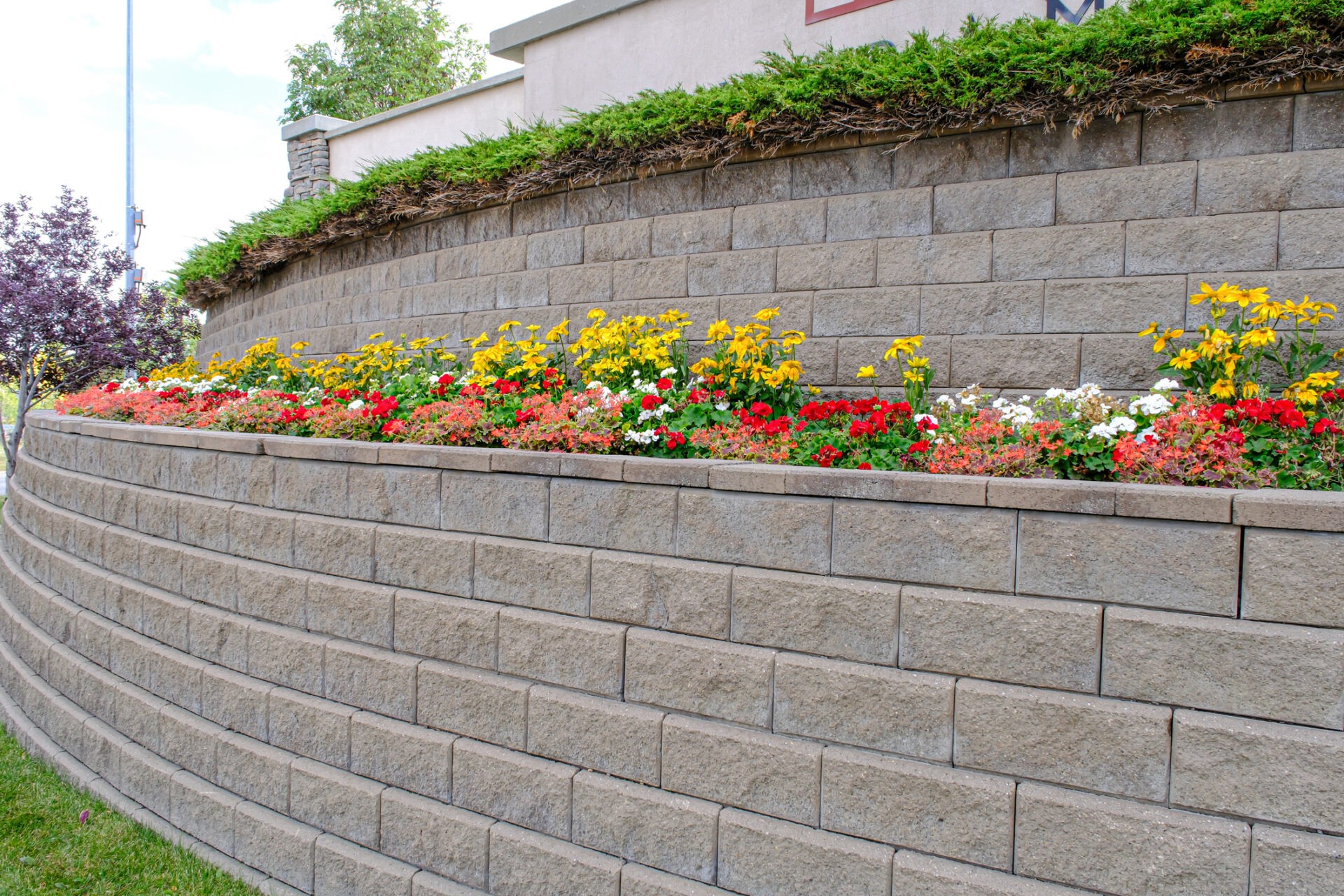 A tiered stone retaining wall features red, yellow, and white flowers, framed by lush greenery and a streetlamp in the background.