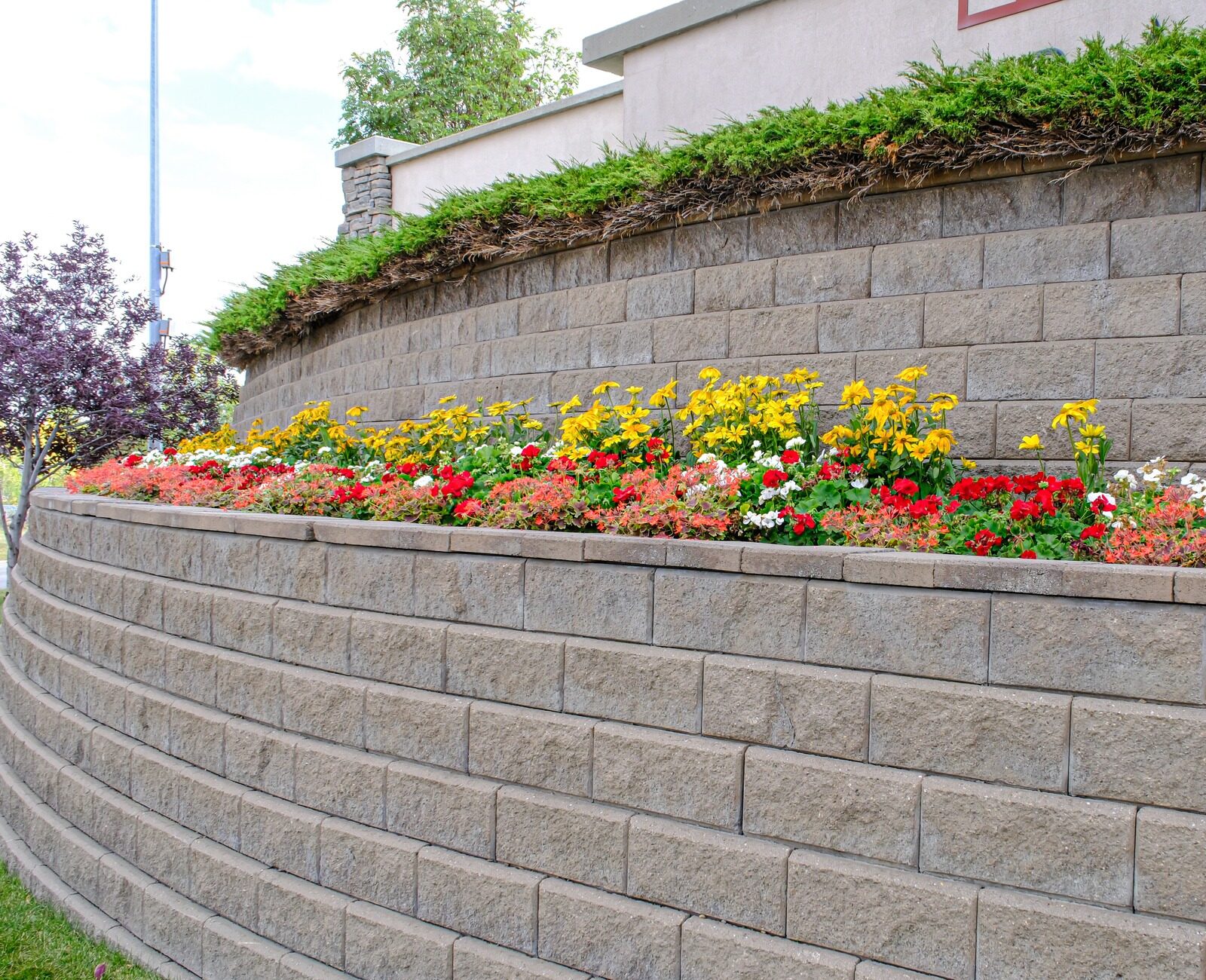 A tiered stone retaining wall features red, yellow, and white flowers, framed by lush greenery and a streetlamp in the background.