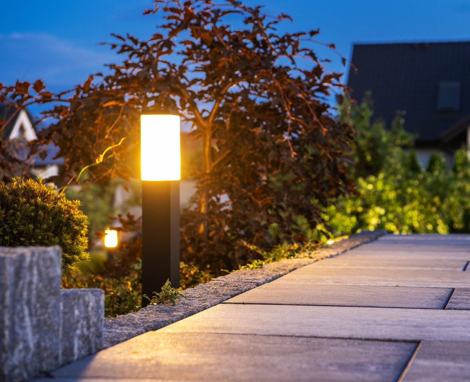 Illuminated garden path with glowing lights, bordered by lush plants and shrubs, leading to suburban houses under an evening sky.