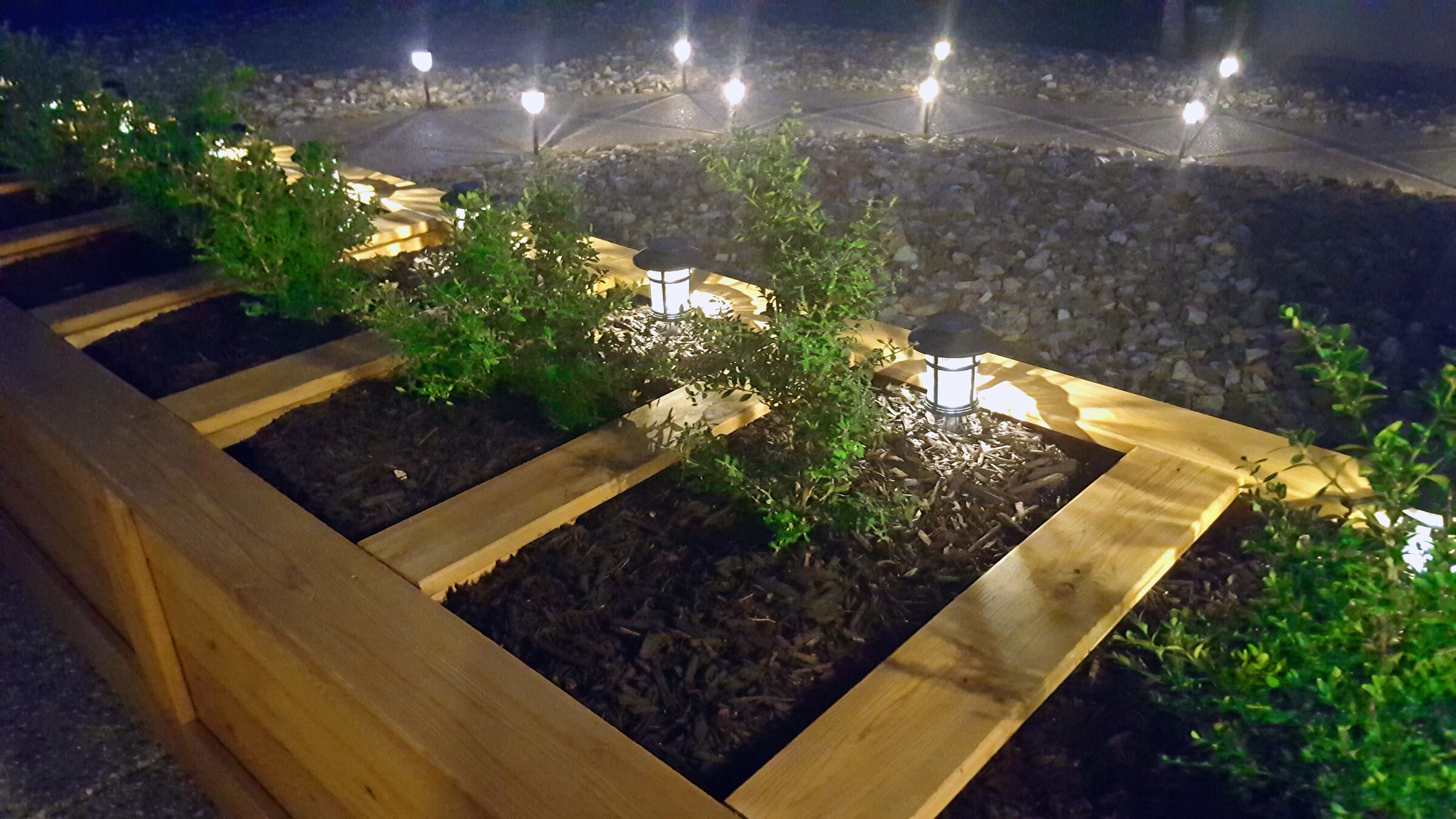 Illuminated garden with neatly arranged wooden planters, small green shrubs, and pathway lights creating a cozy night ambiance. No people visible.