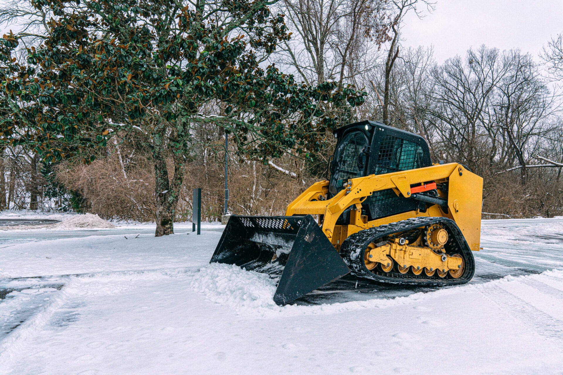 A yellow snowplow clears a thin layer of snow from a road near leafless trees, with a large evergreen tree nearby.