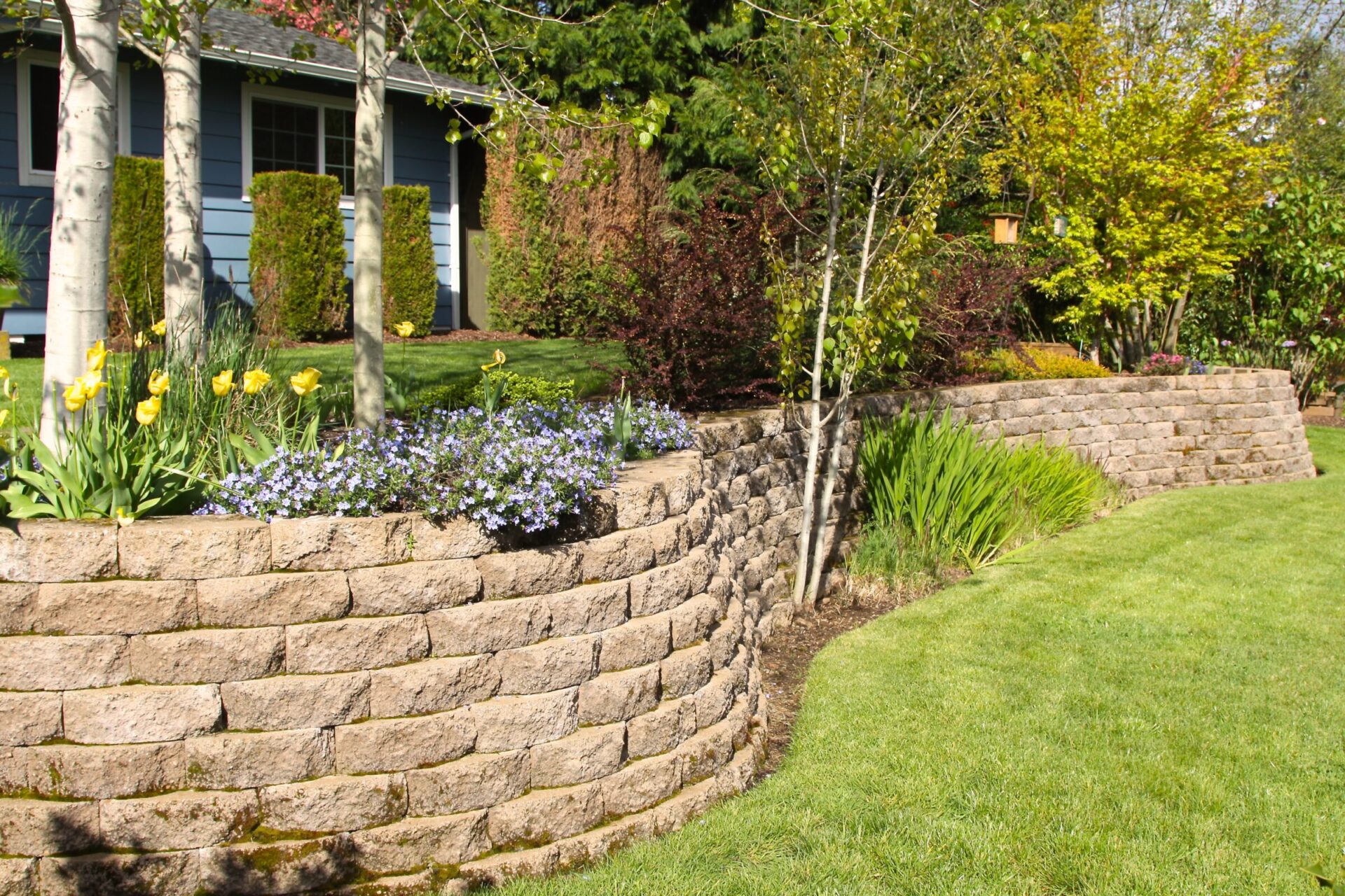 A beautifully landscaped garden with a stone retaining wall, vibrant flowers, lush grass, and trees, adjacent to a blue house.