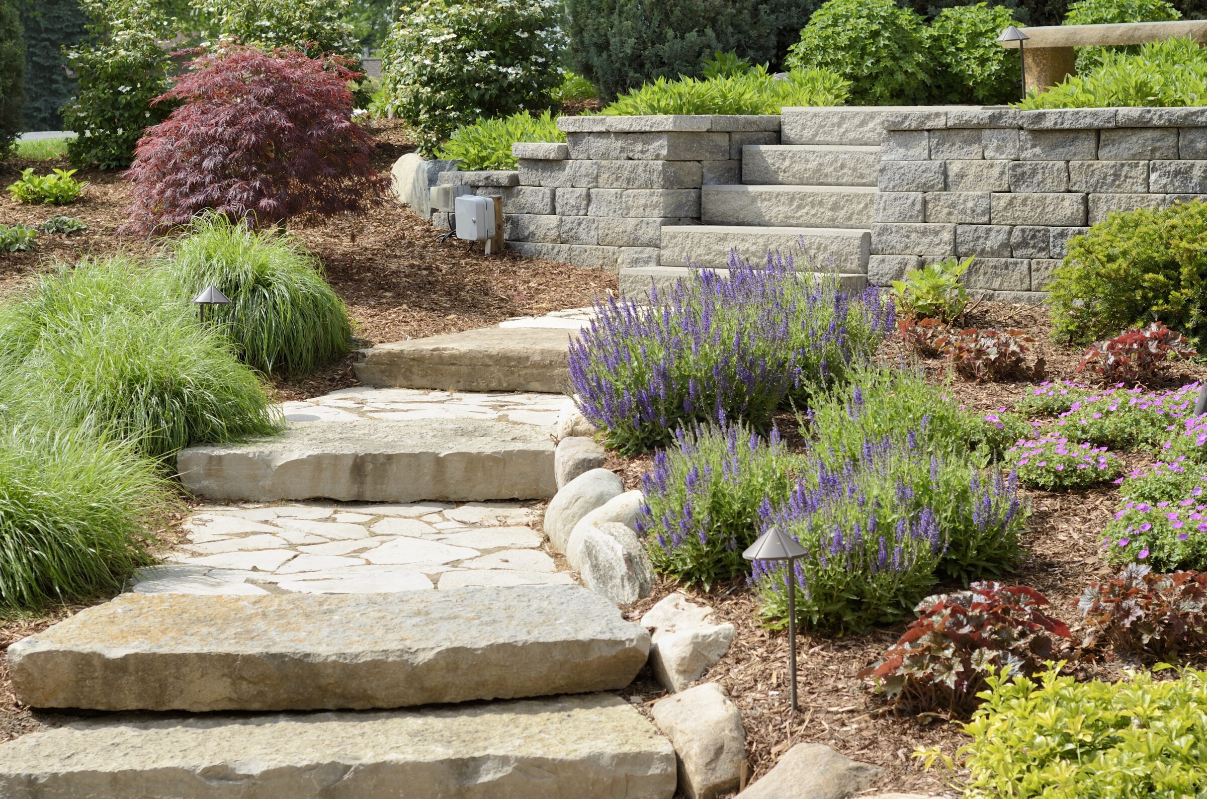 A professional landscaping job with stone path and stone steps.