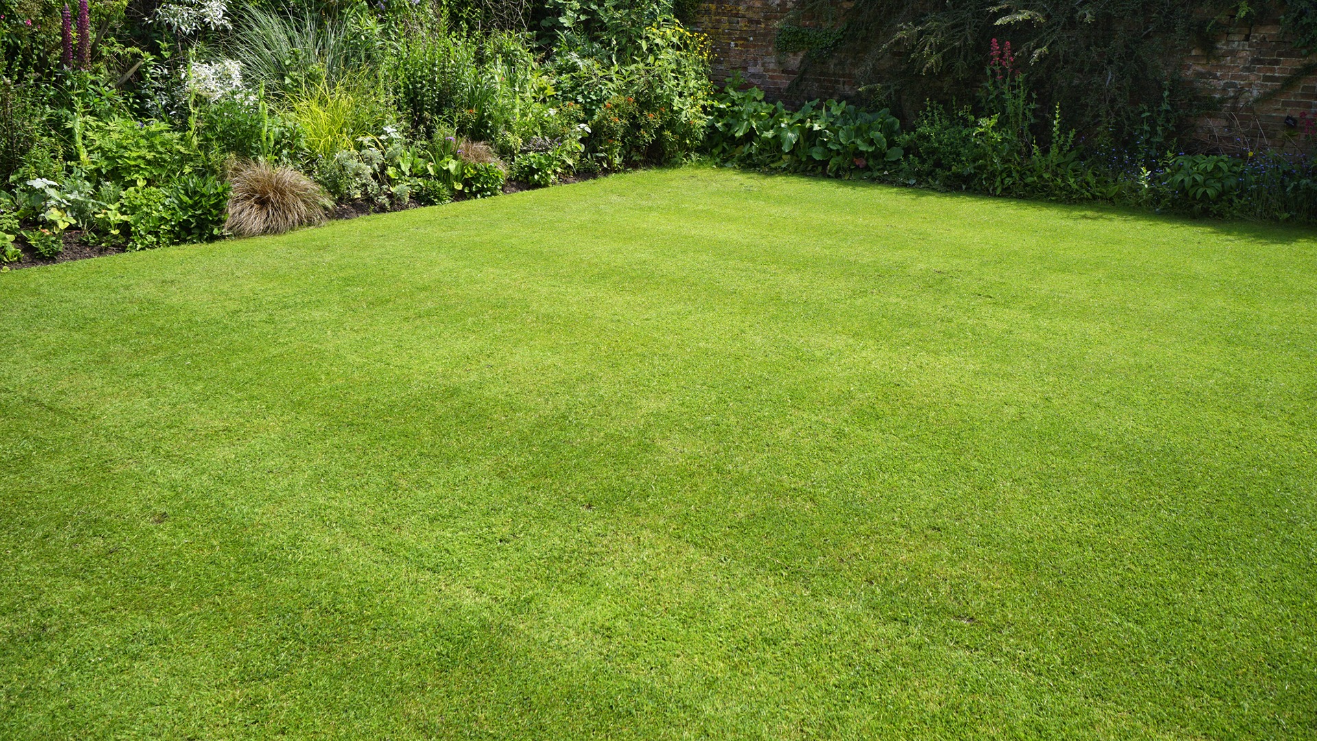 A well-maintained green lawn surrounded by lush plants and shrubs, bordered by a brick wall, creating a serene and inviting garden space.