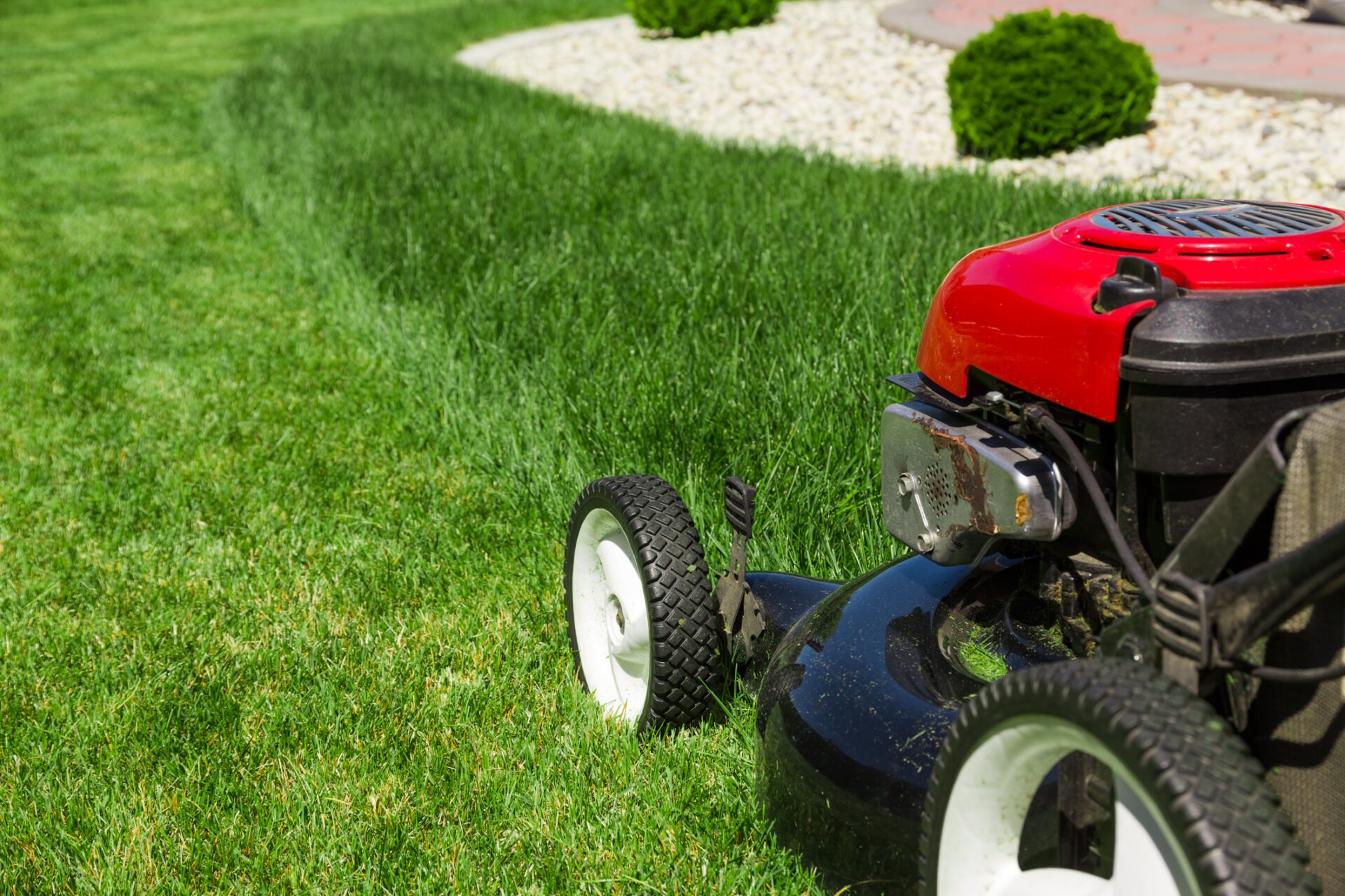 A red lawnmower cuts grass on a well-maintained lawn with a trimmed edge and decorative white stones in the background.