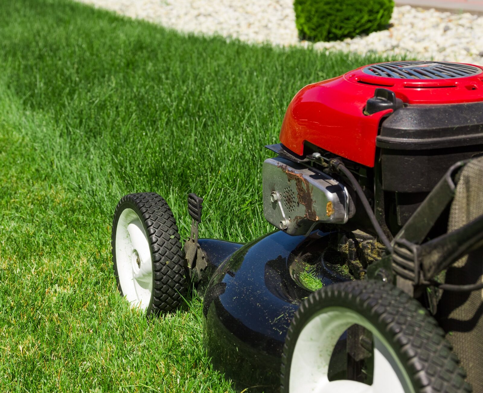 A red lawnmower cuts grass on a well-maintained lawn with a trimmed edge and decorative white stones in the background.