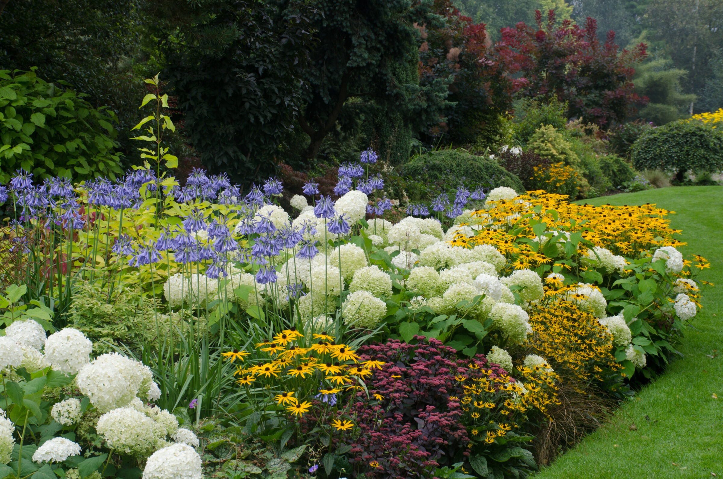 A vibrant garden scene featuring colorful flowers including purple, white, and yellow blossoms, surrounded by lush greenery and trees in the background.
