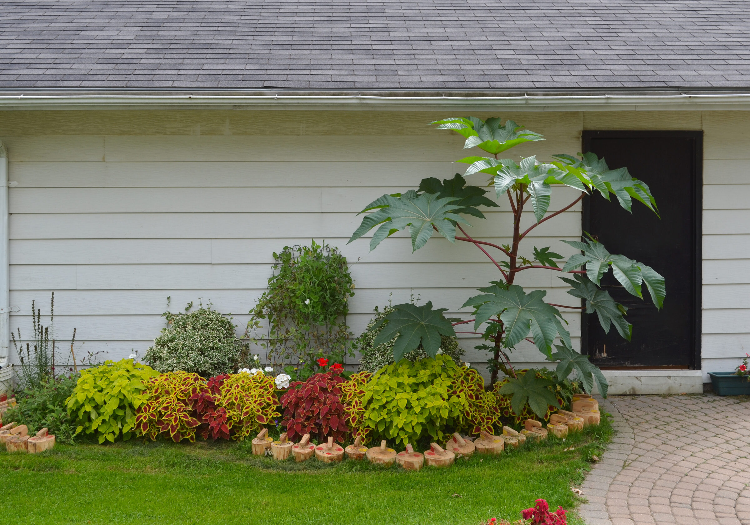 Neat garden with colorful plants, shrubs, and a tall tree against a white building, featuring a dark door and curved stone pathway.