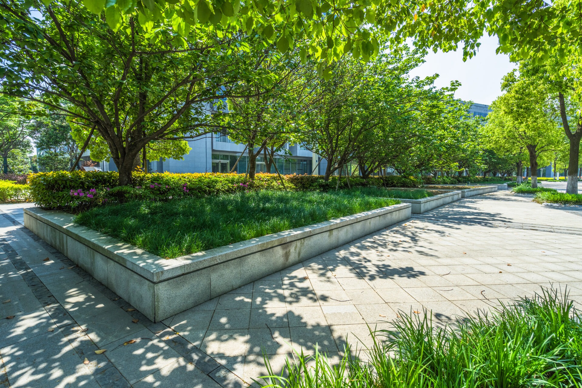 A sunlit urban park with lush green trees and flowers lines a sidewalk beside modern buildings, creating a serene, inviting environment.
