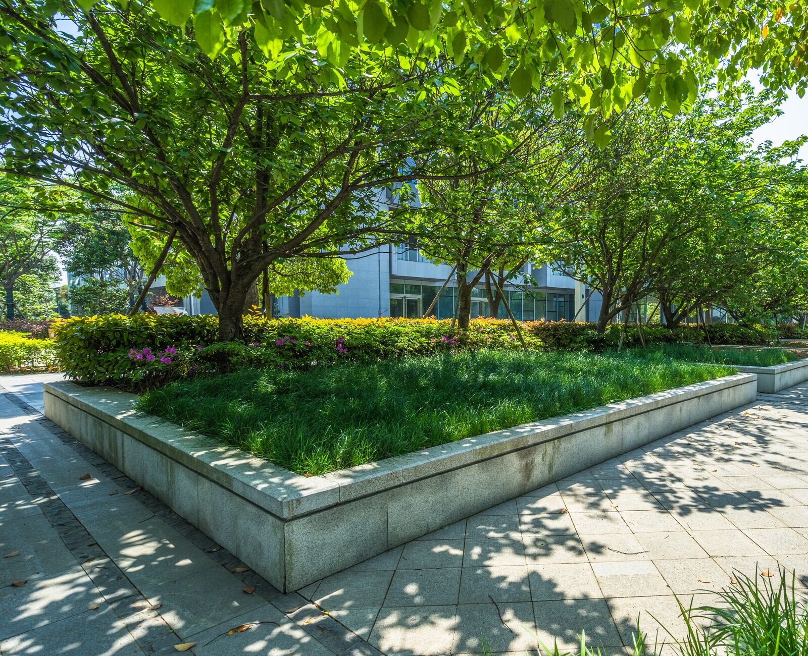 A sunlit urban park with lush green trees and flowers lines a sidewalk beside modern buildings, creating a serene, inviting environment.