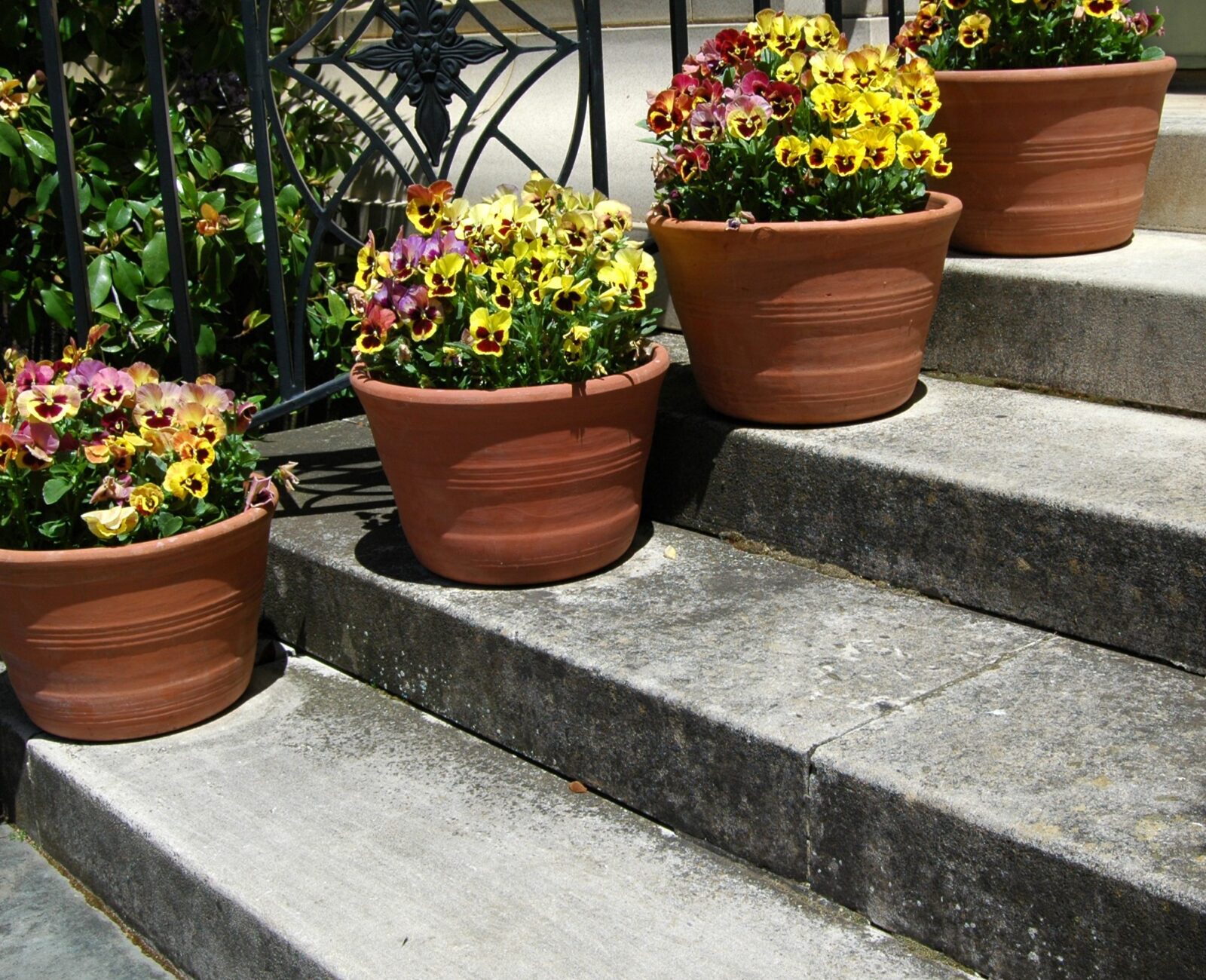 Terracotta pots with colorful flowers are arranged on stone steps, alongside a decorative iron railing, creating a vibrant, welcoming entrance.