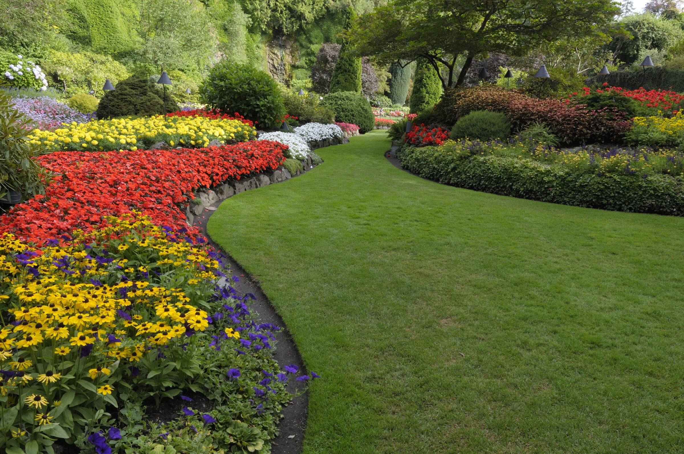 A vibrant garden with colorful flowers, lush green lawns, and neatly trimmed bushes creates a picturesque pathway through natural beauty.