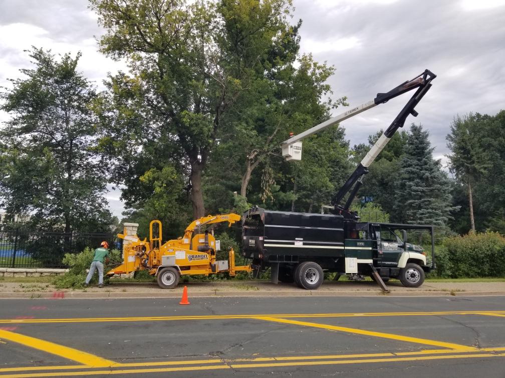 Willow River's tree services
