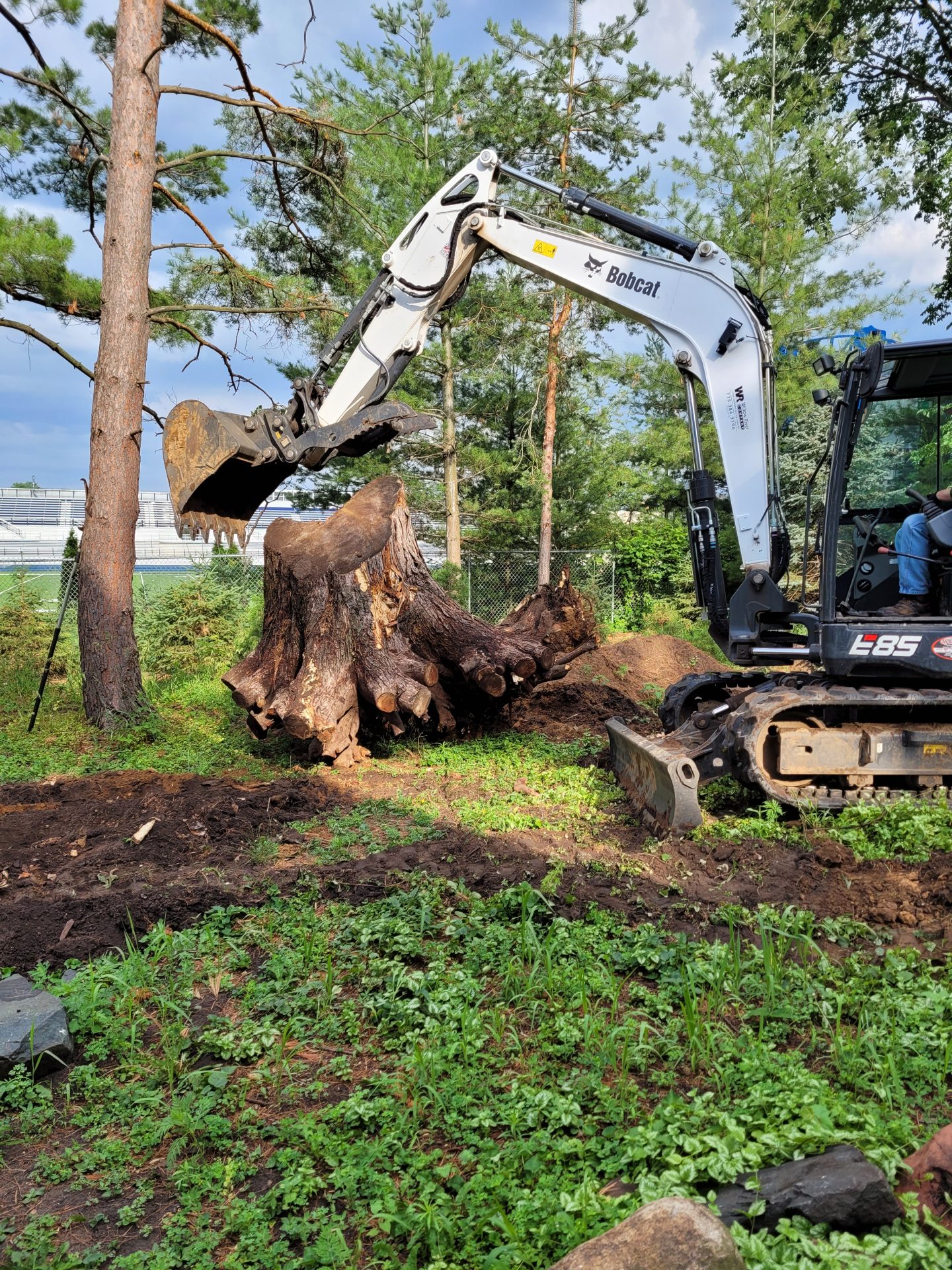 Willow River team providing tree teatment