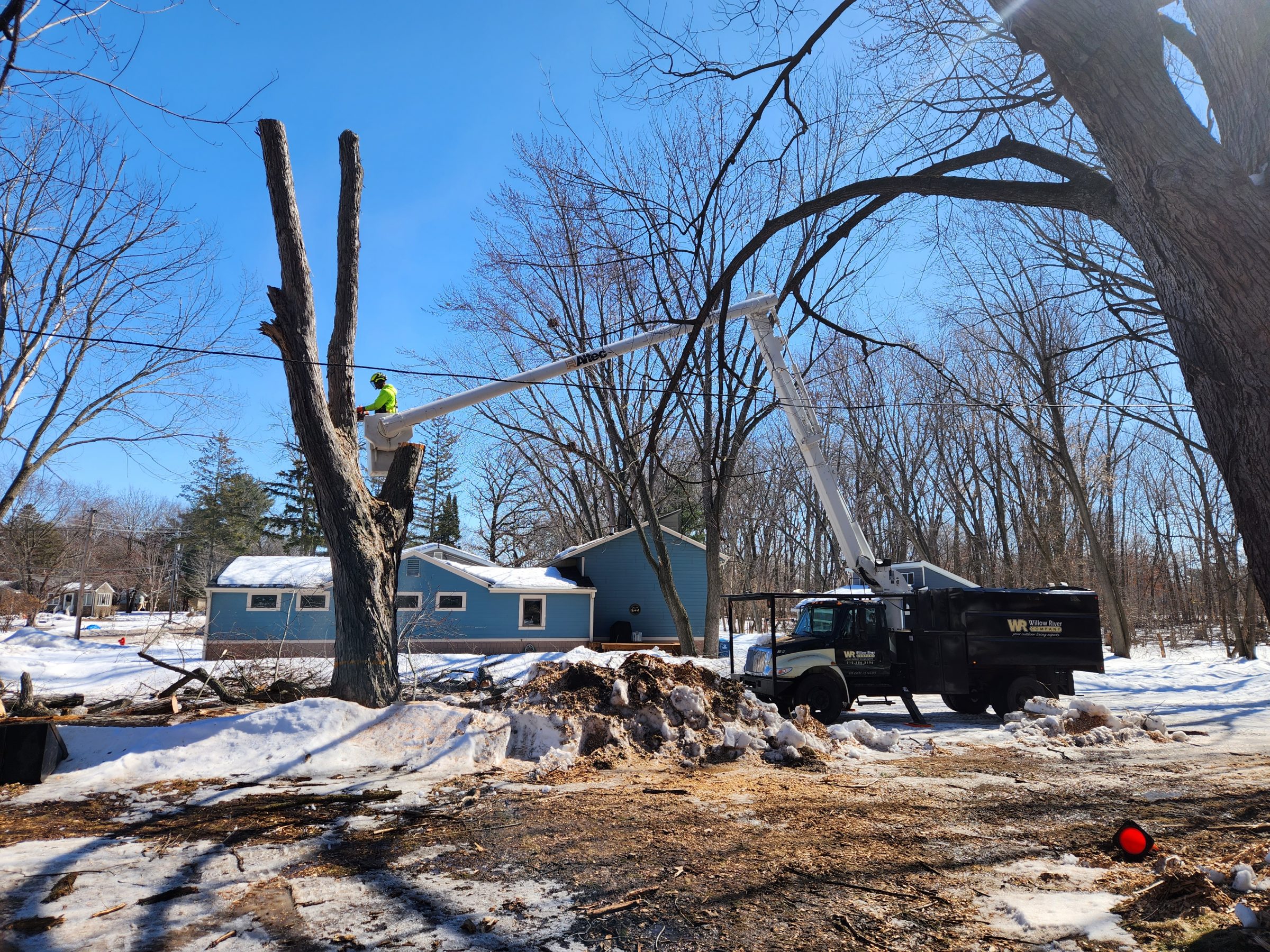 tree removal by Willow River